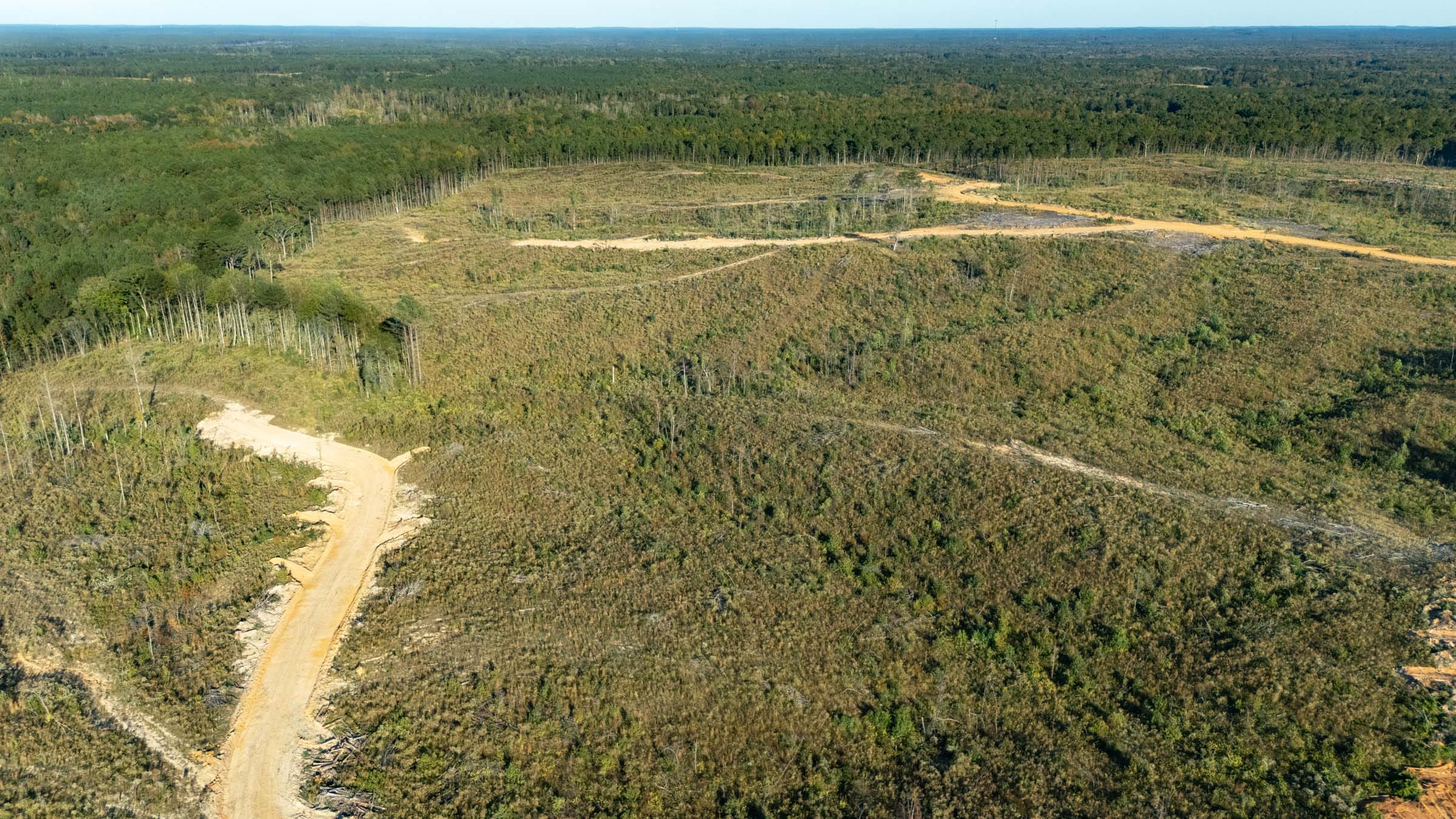 Meyer’s Ridge Tract 23 photo 2