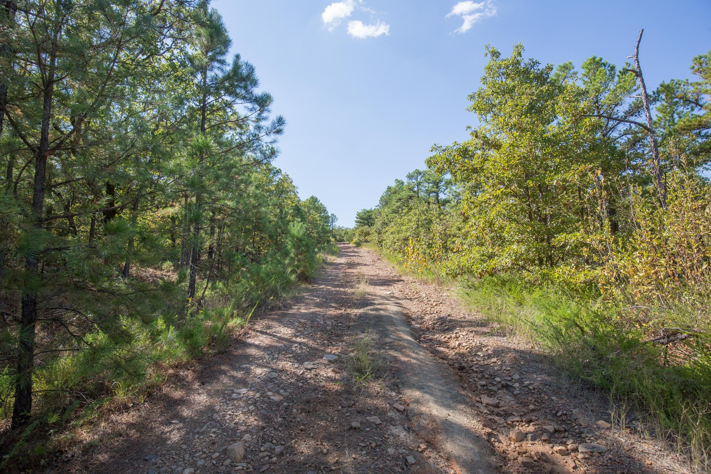 Stone Bridge Phase I Tract 53 photo 7