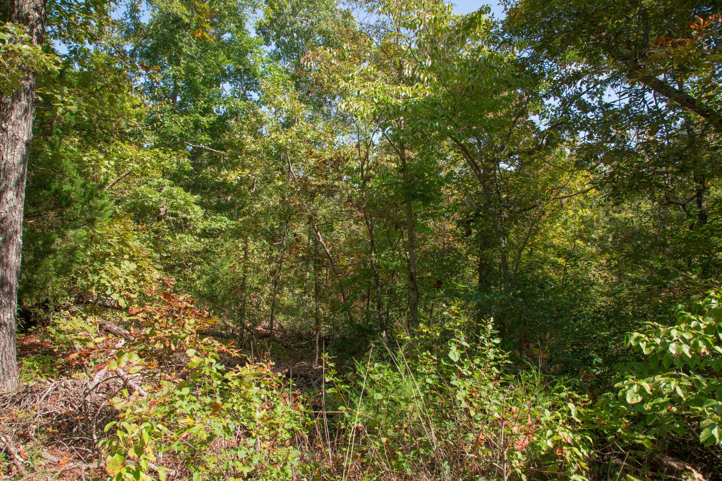Wagon Wheel Ranch Tract 37 photo 8