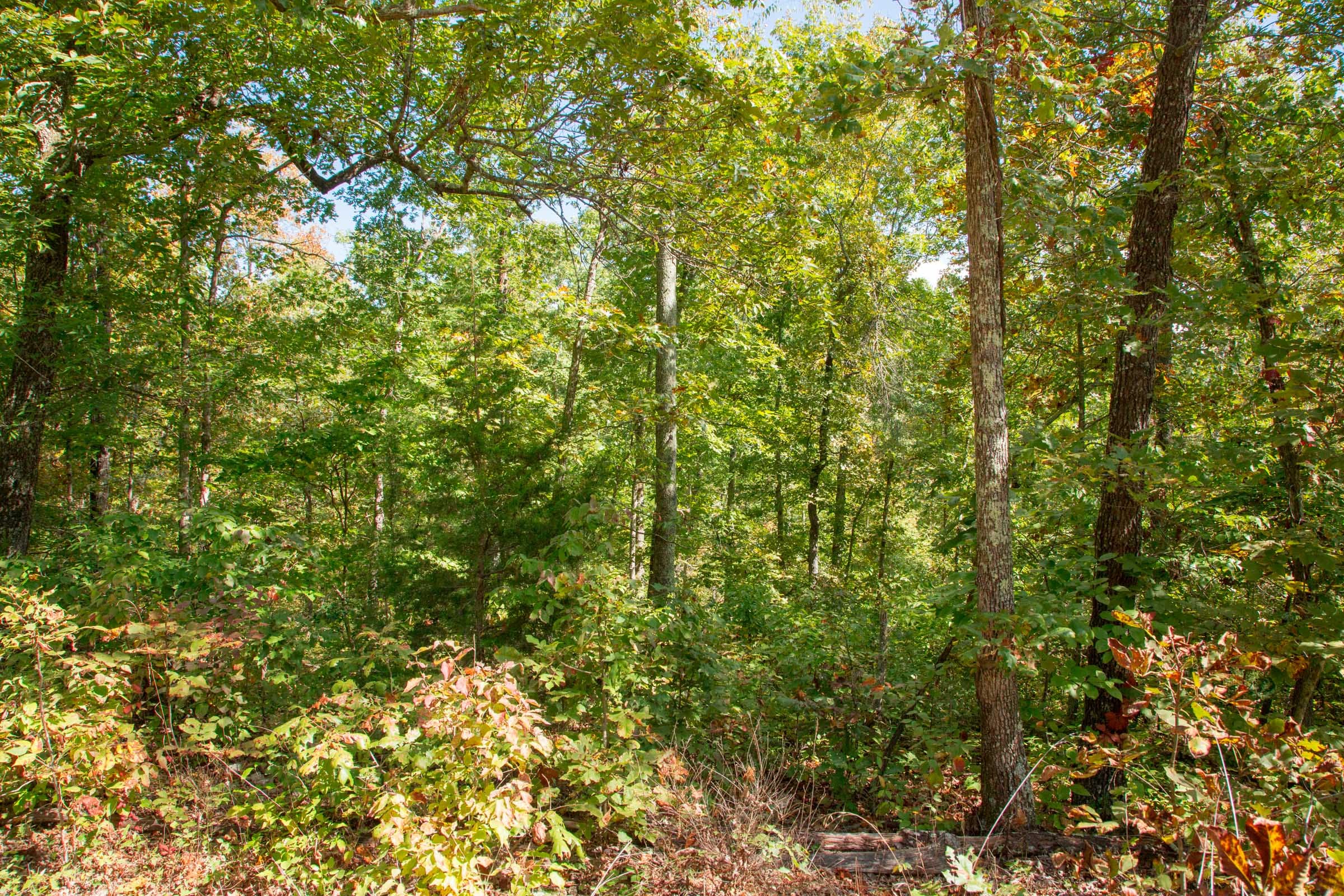 Wagon Wheel Ranch Tract 37 photo 9