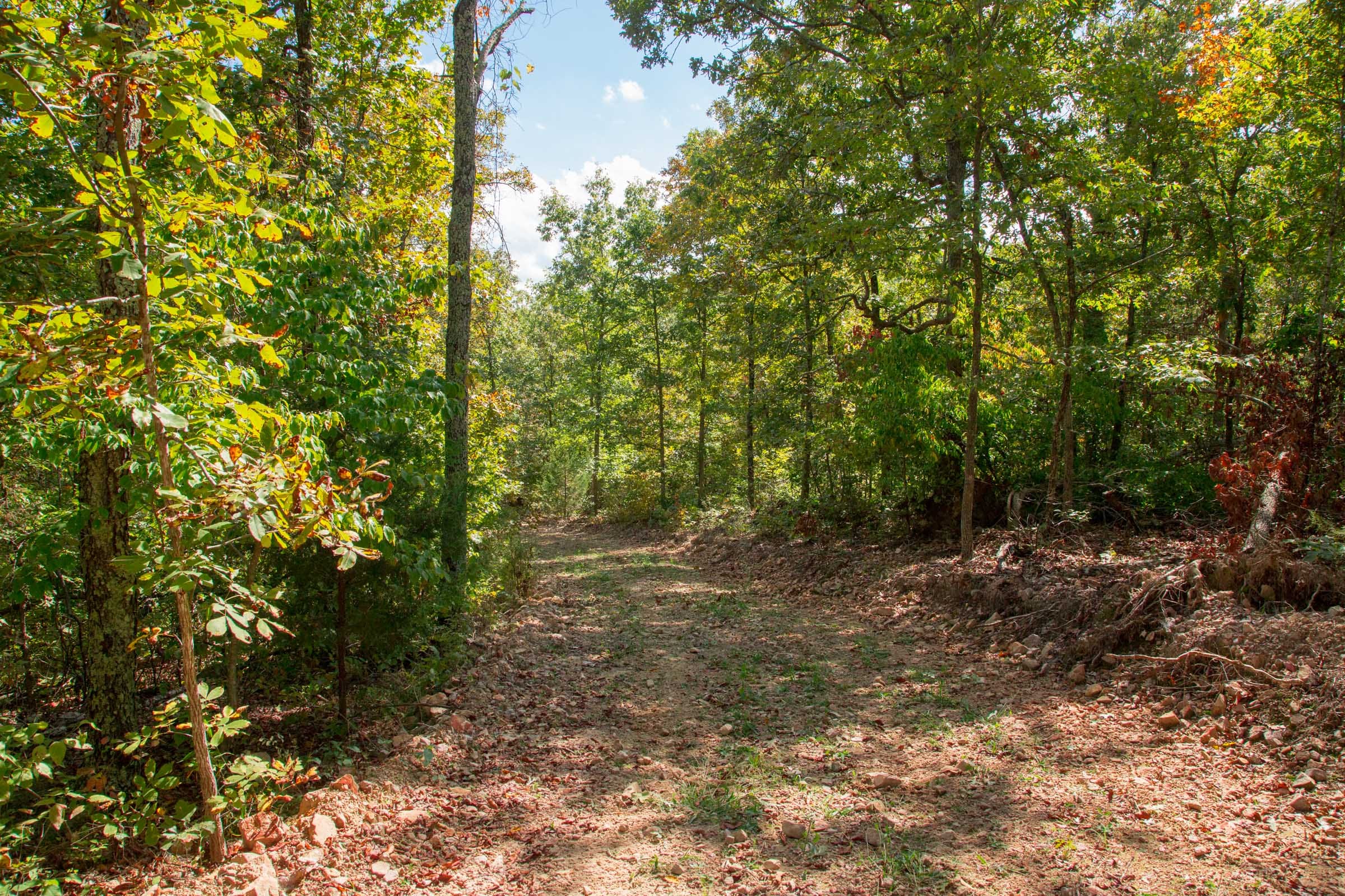 Wagon Wheel Ranch Tract 37 photo 6
