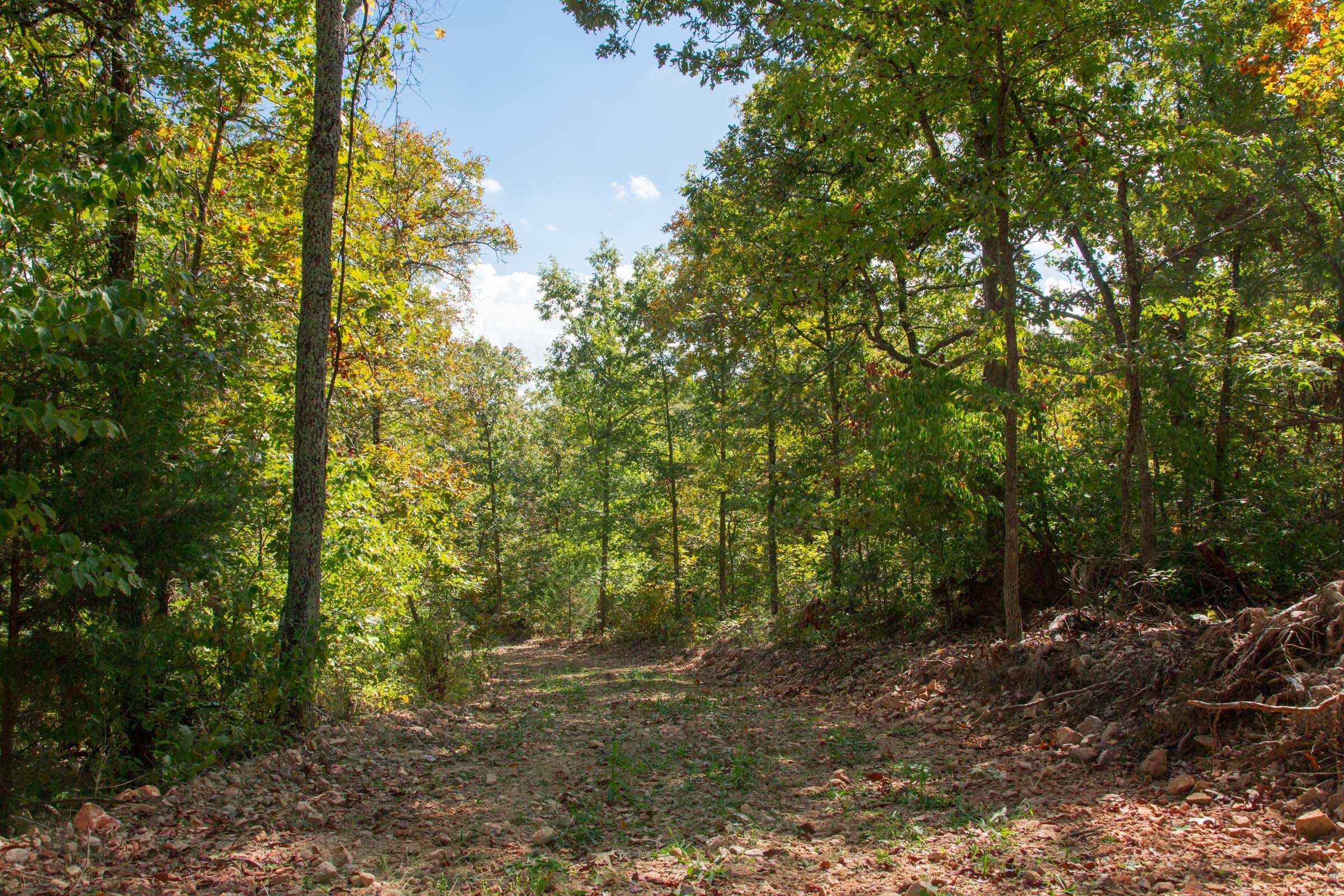 Wagon Wheel Ranch Tract 37 photo 10