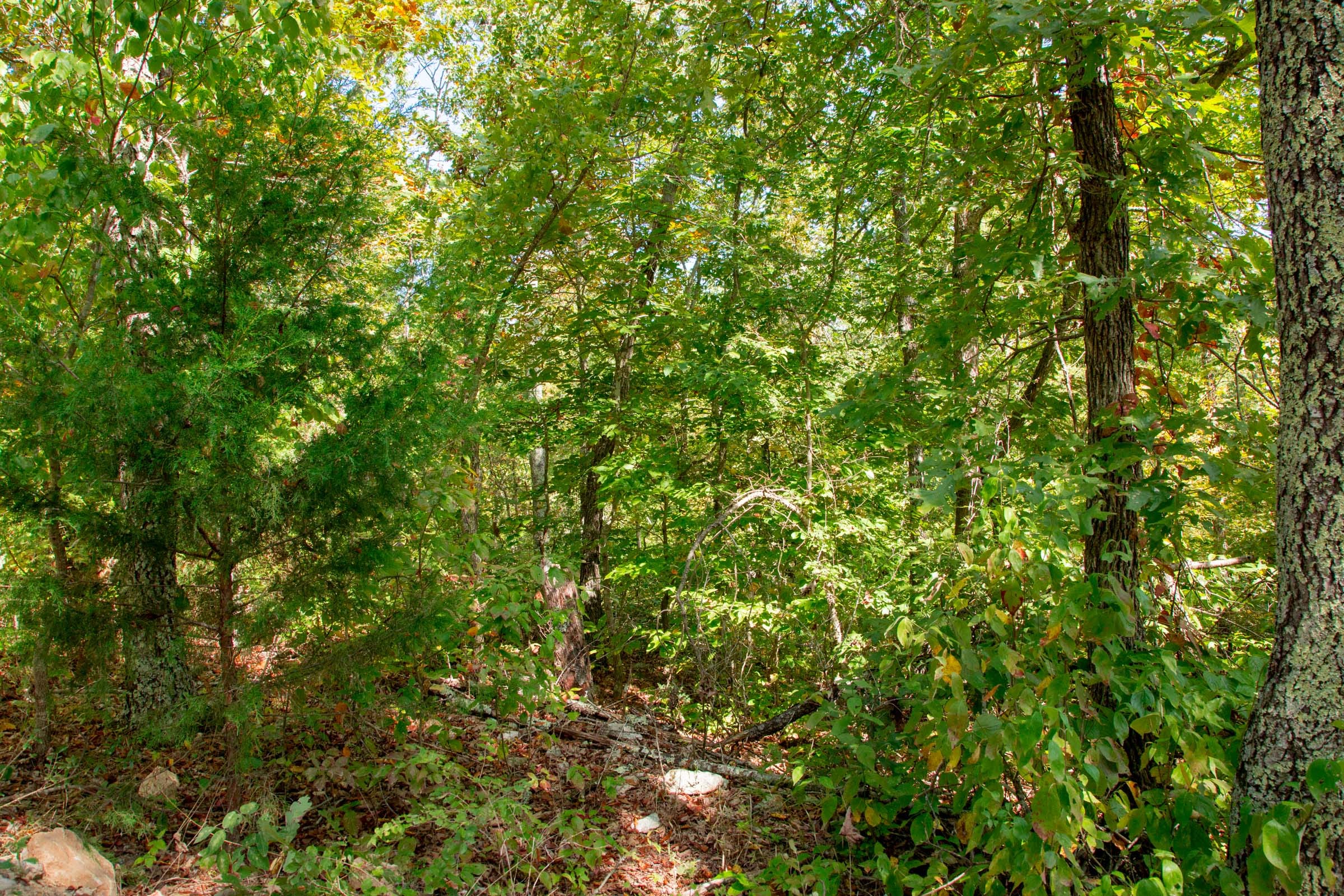Wagon Wheel Ranch Tract 37 photo 12