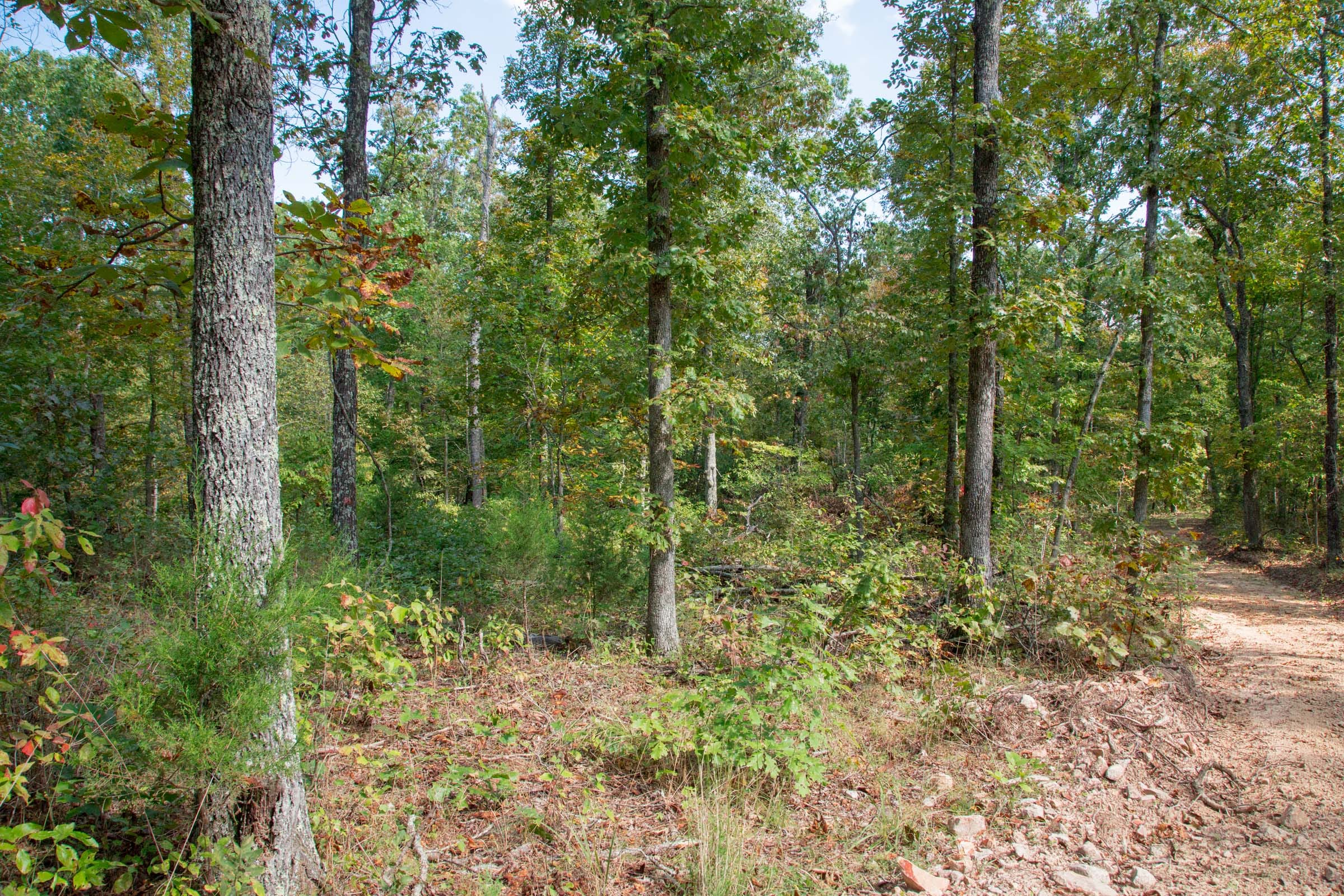 Wagon Wheel Ranch Tract 37 photo 14