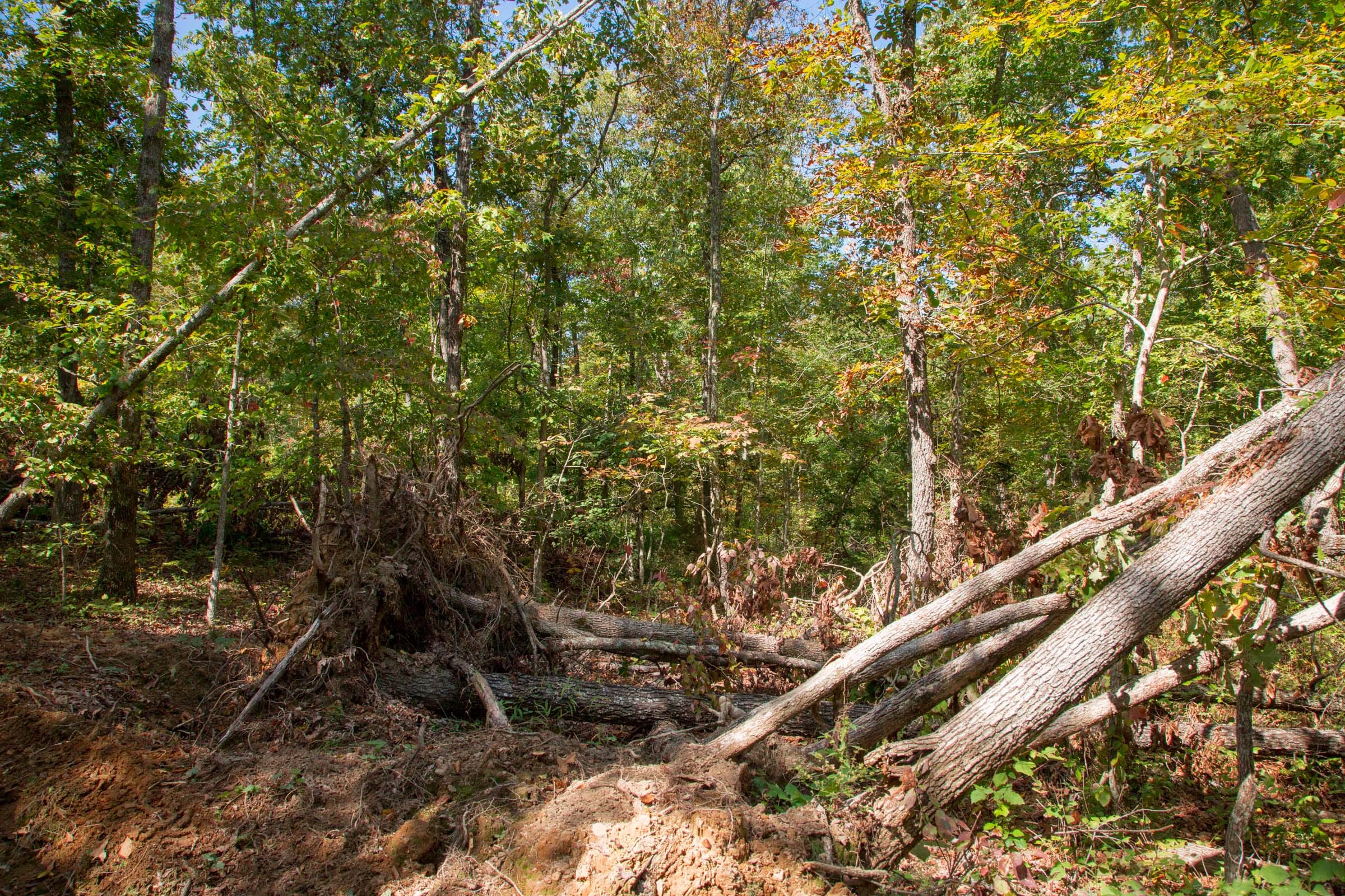 Wagon Wheel Ranch Tract 37 photo 17