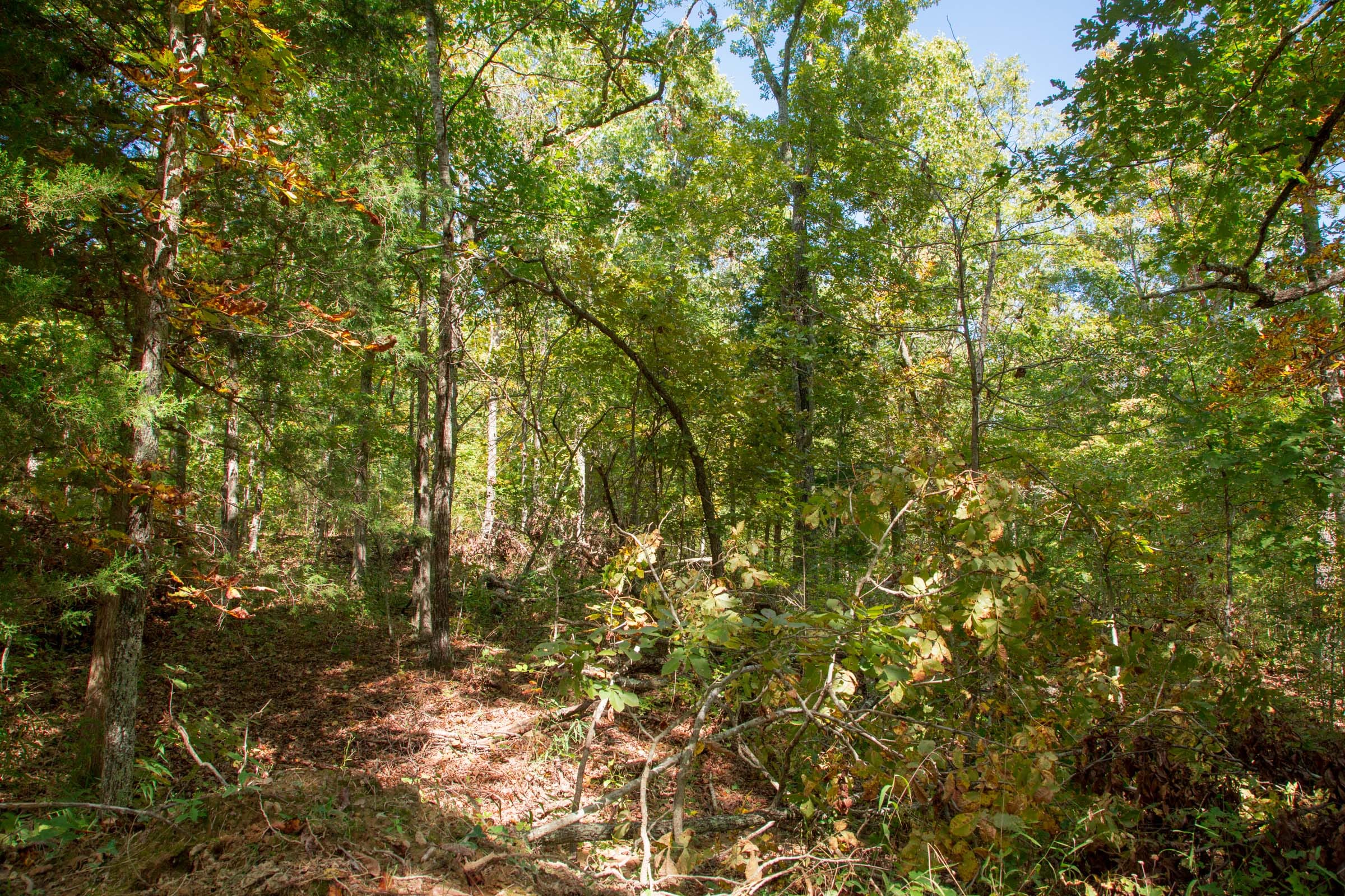 Wagon Wheel Ranch Tract 37 photo 18