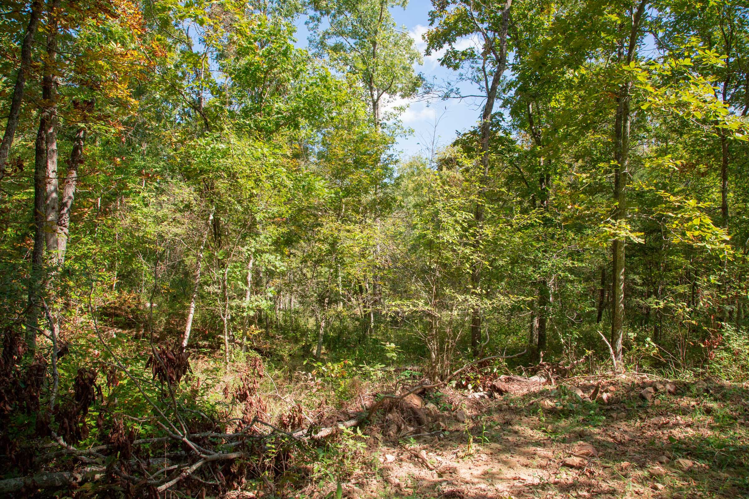 Wagon Wheel Ranch Tract 37 photo 19
