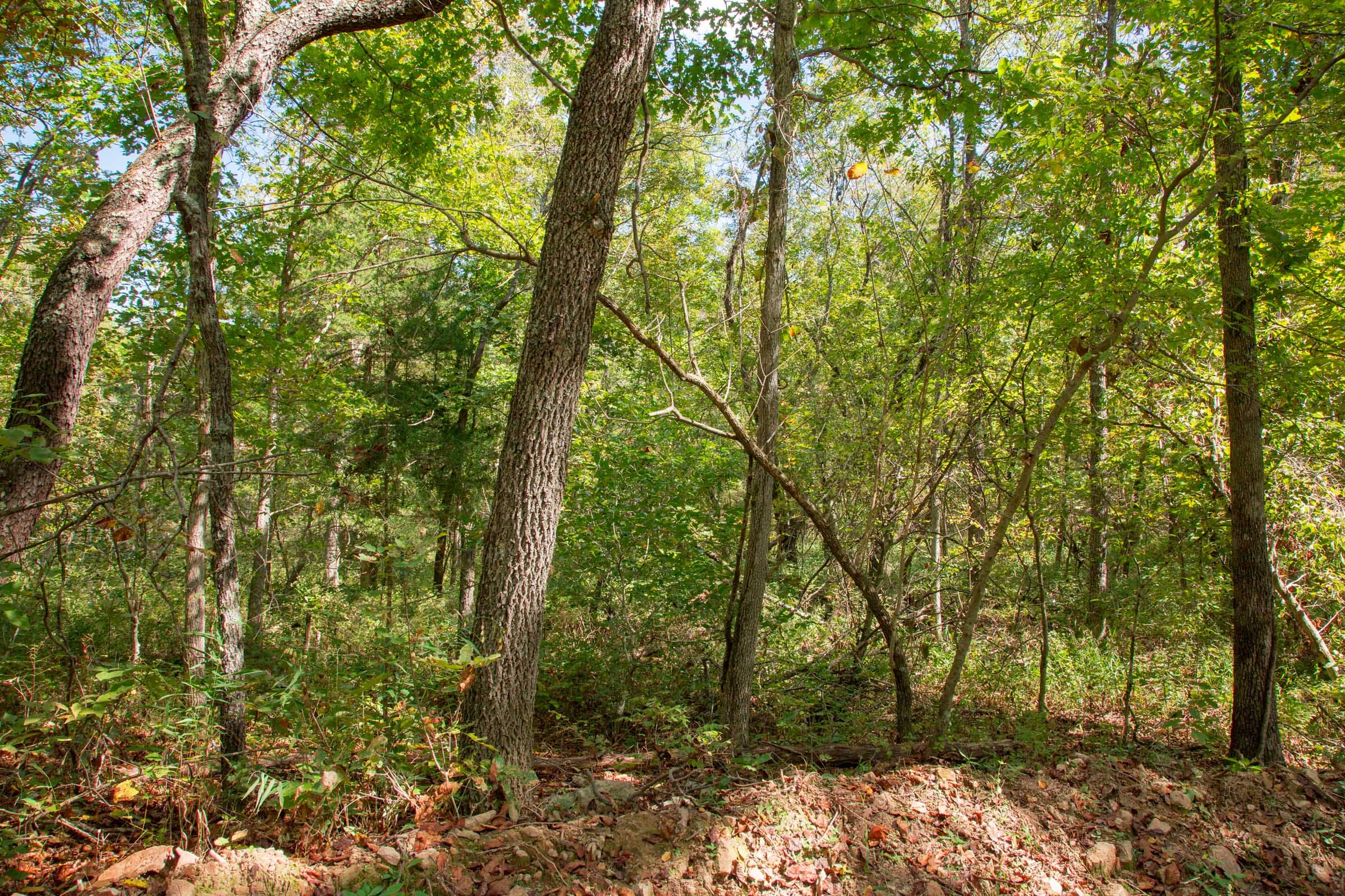 Wagon Wheel Ranch Tract 37 photo 20