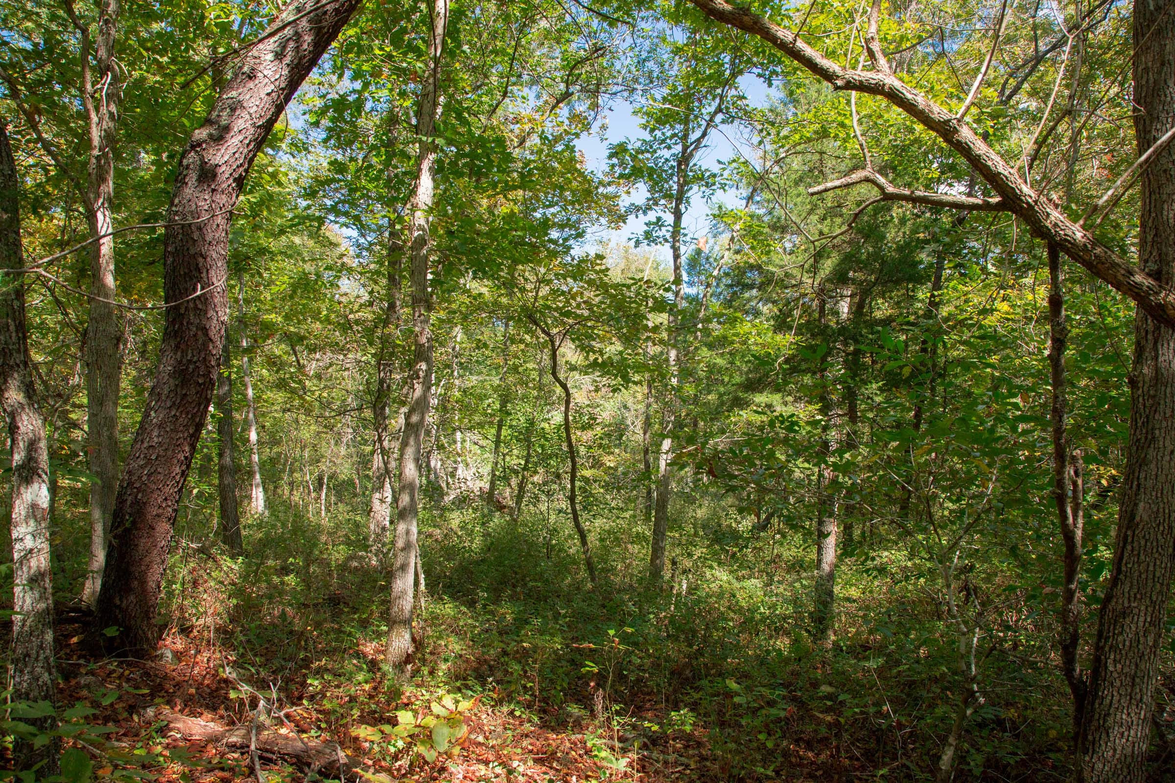 Wagon Wheel Ranch Tract 37 photo 21