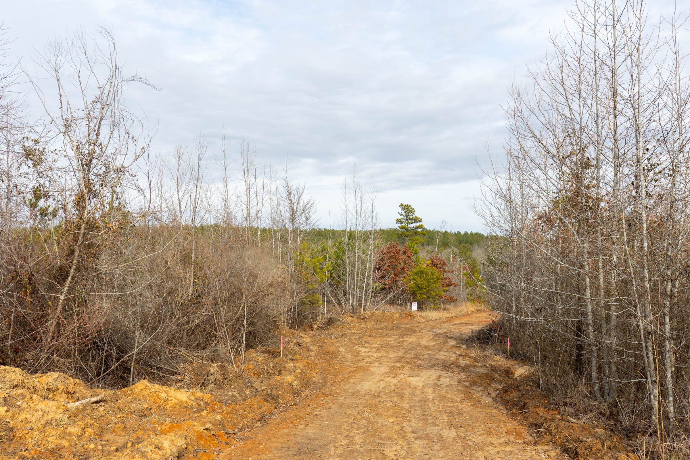 Baker Creek Tract 4 photo 9