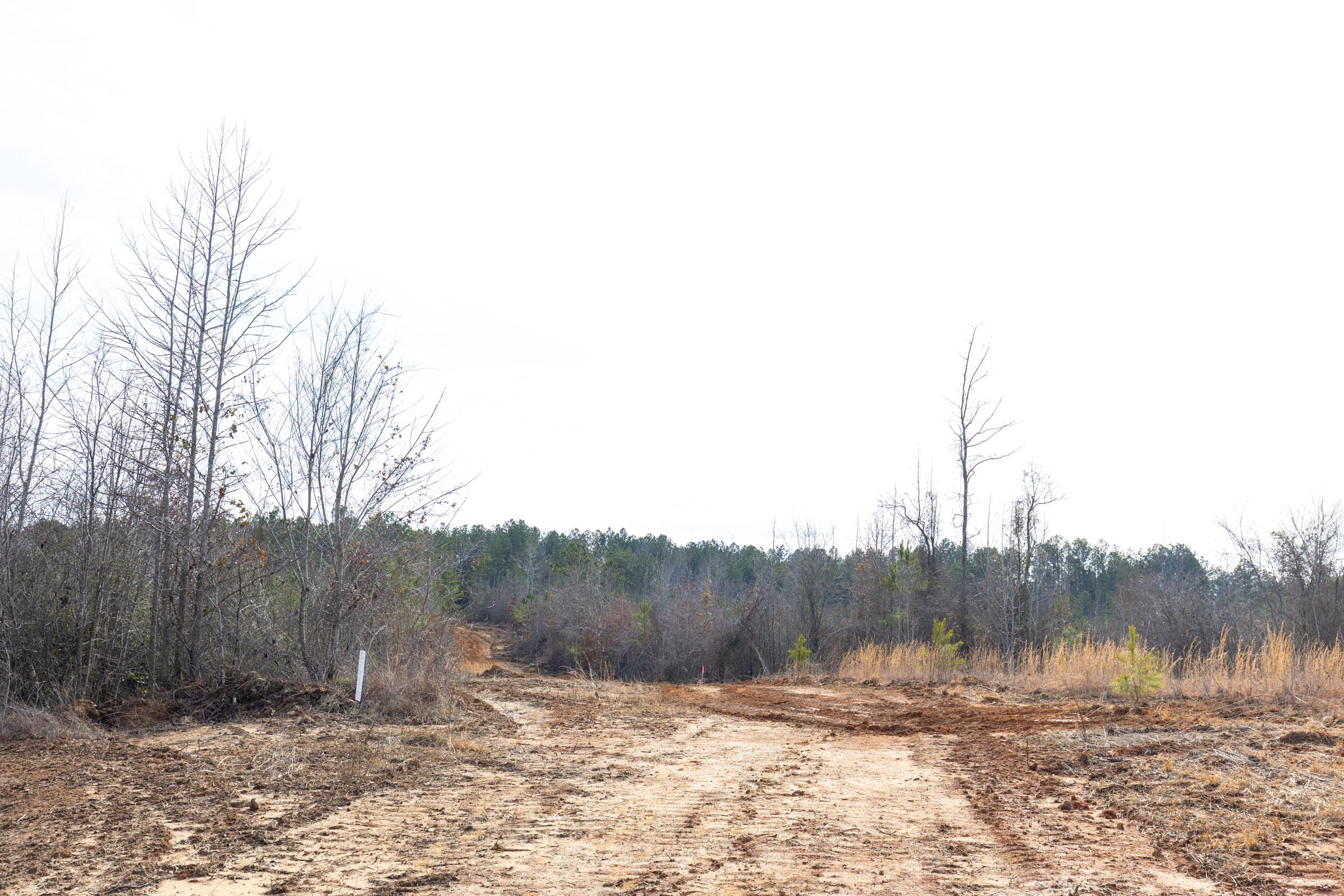 Baker Creek Tract 4 photo 8