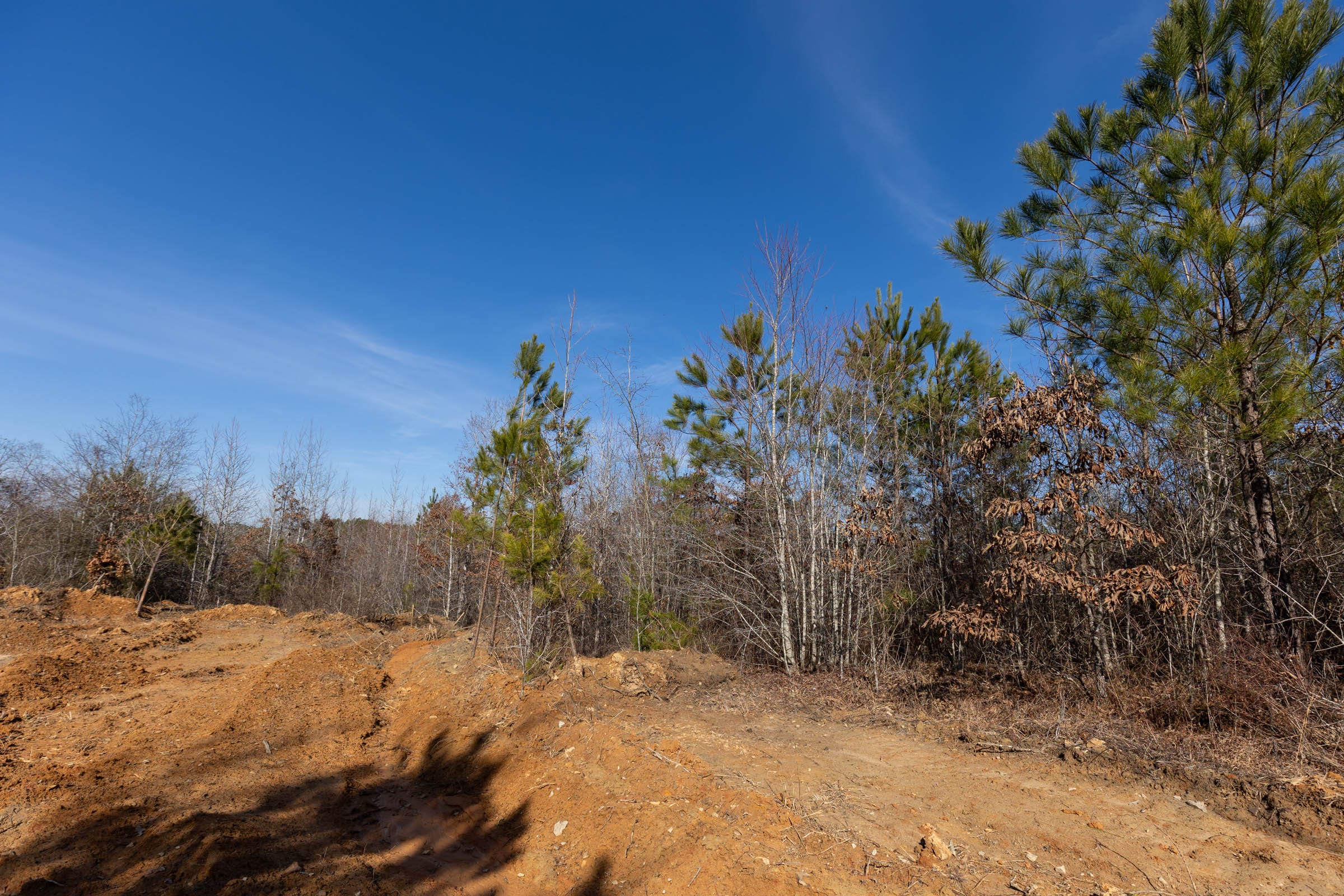 Baker Creek Tract 4 photo 5