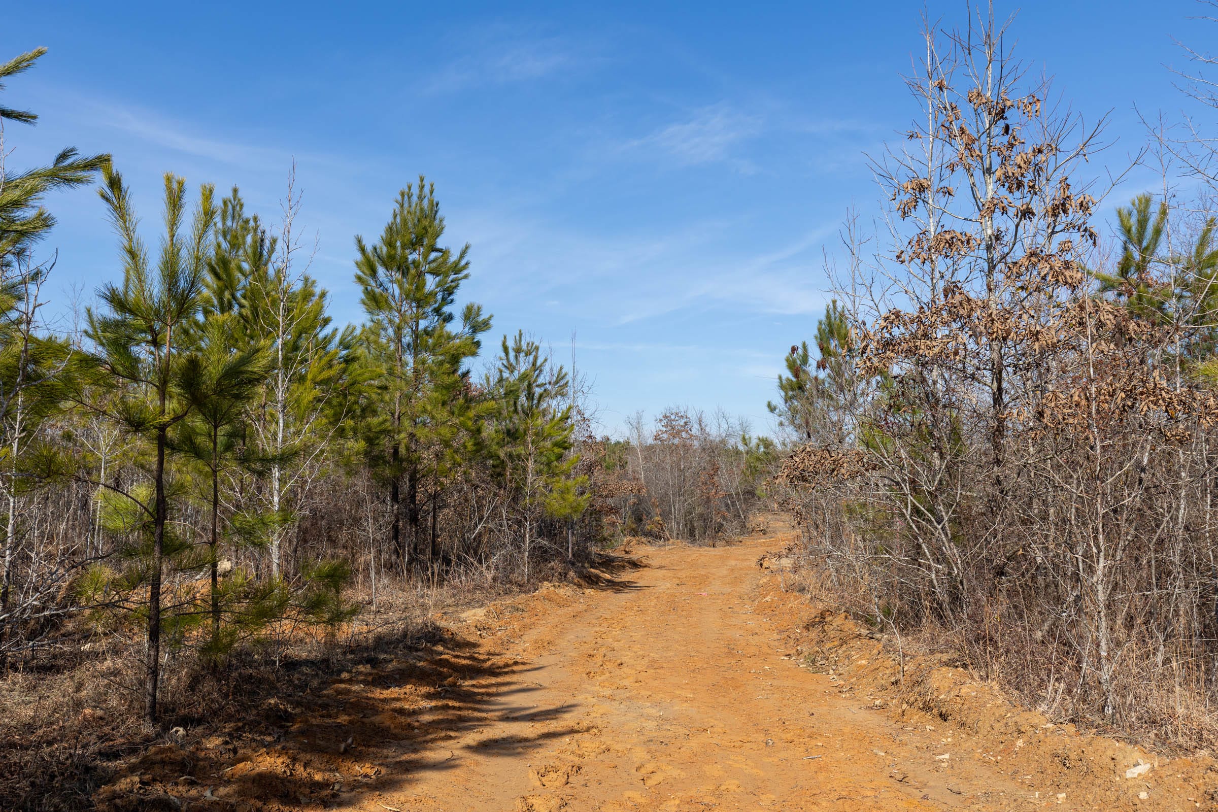 Baker Creek Tract 4 photo 3