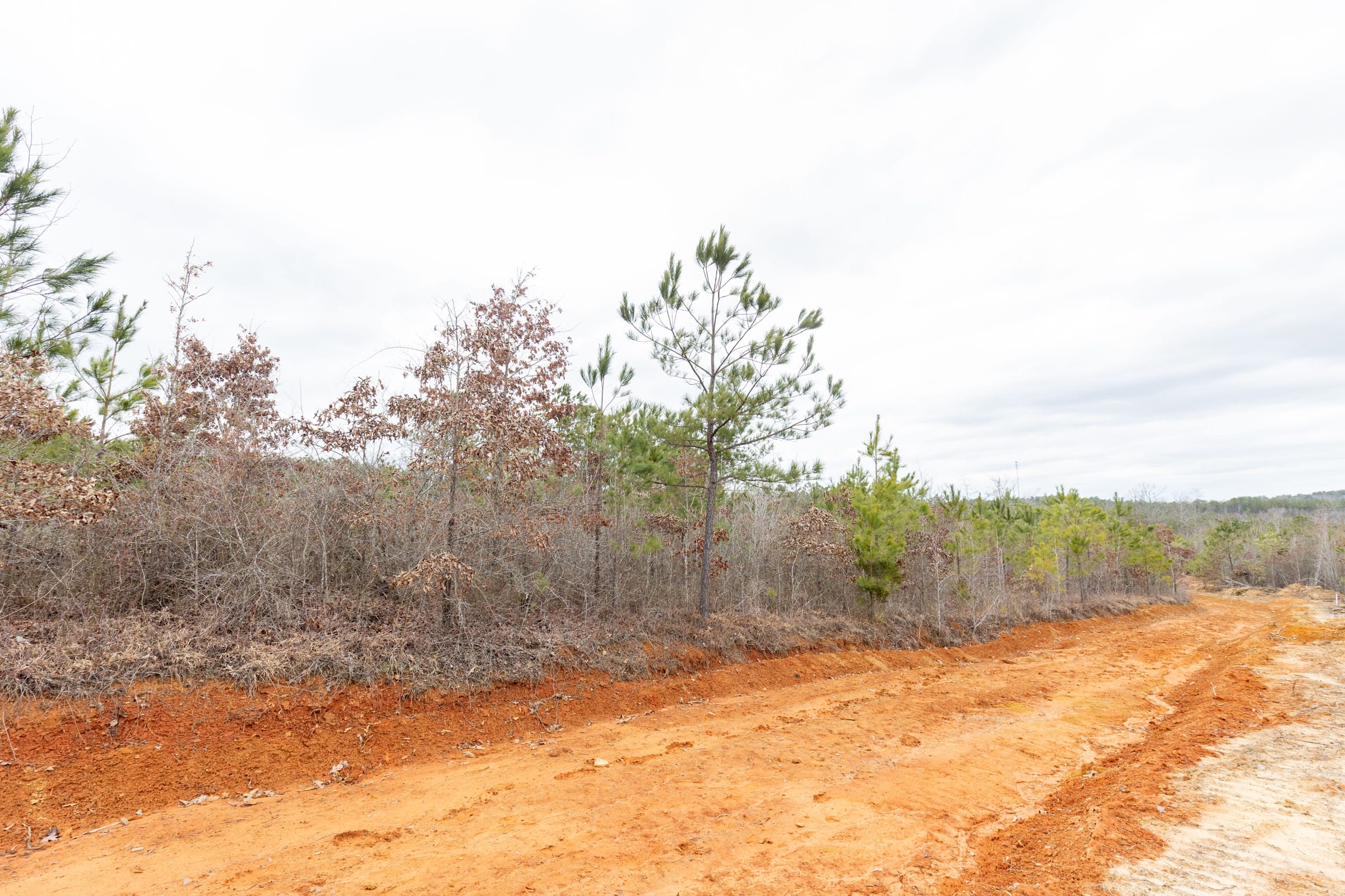 Baker Creek Tract 4 photo 2