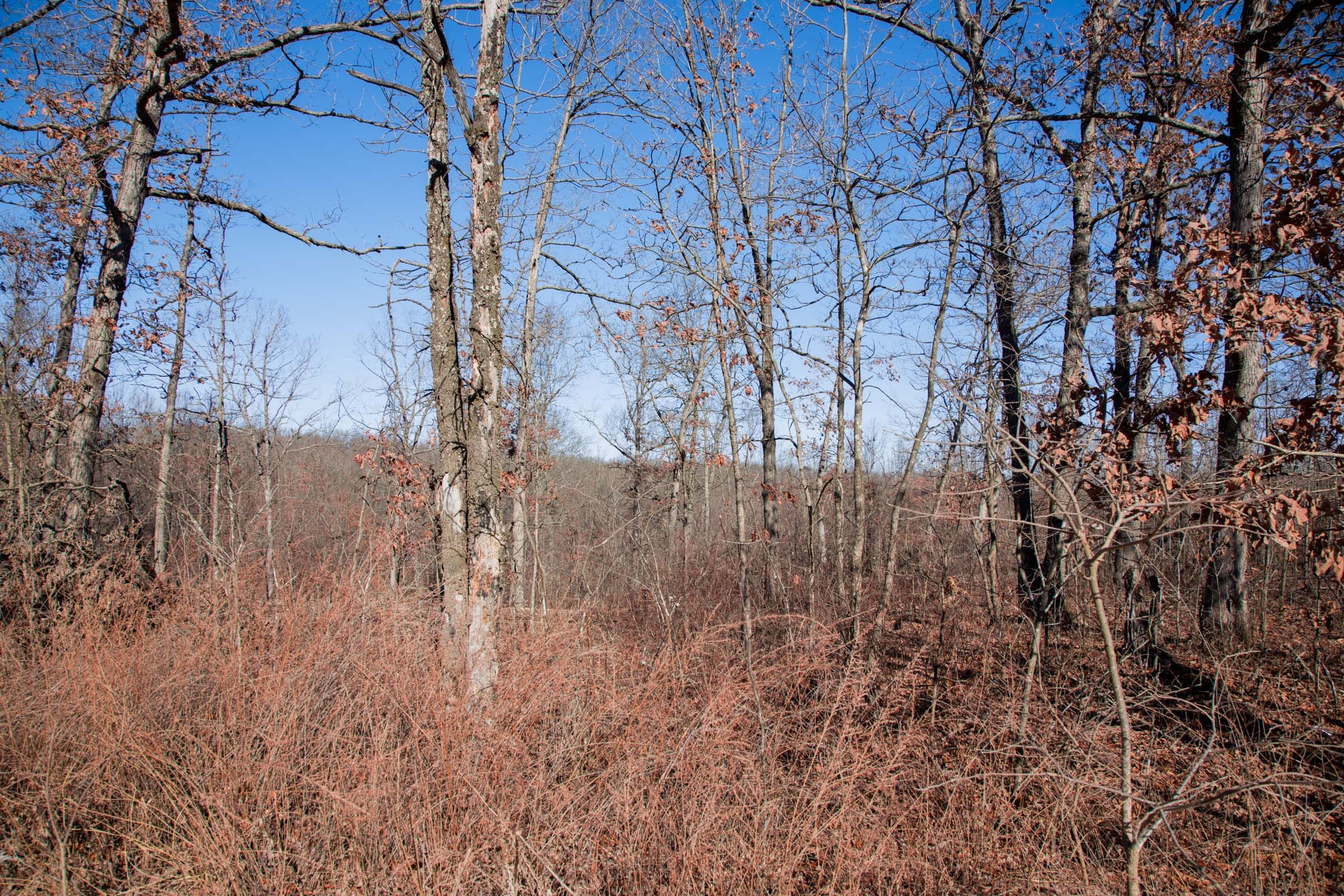 Buffalo Hills Tract 21 photo 2
