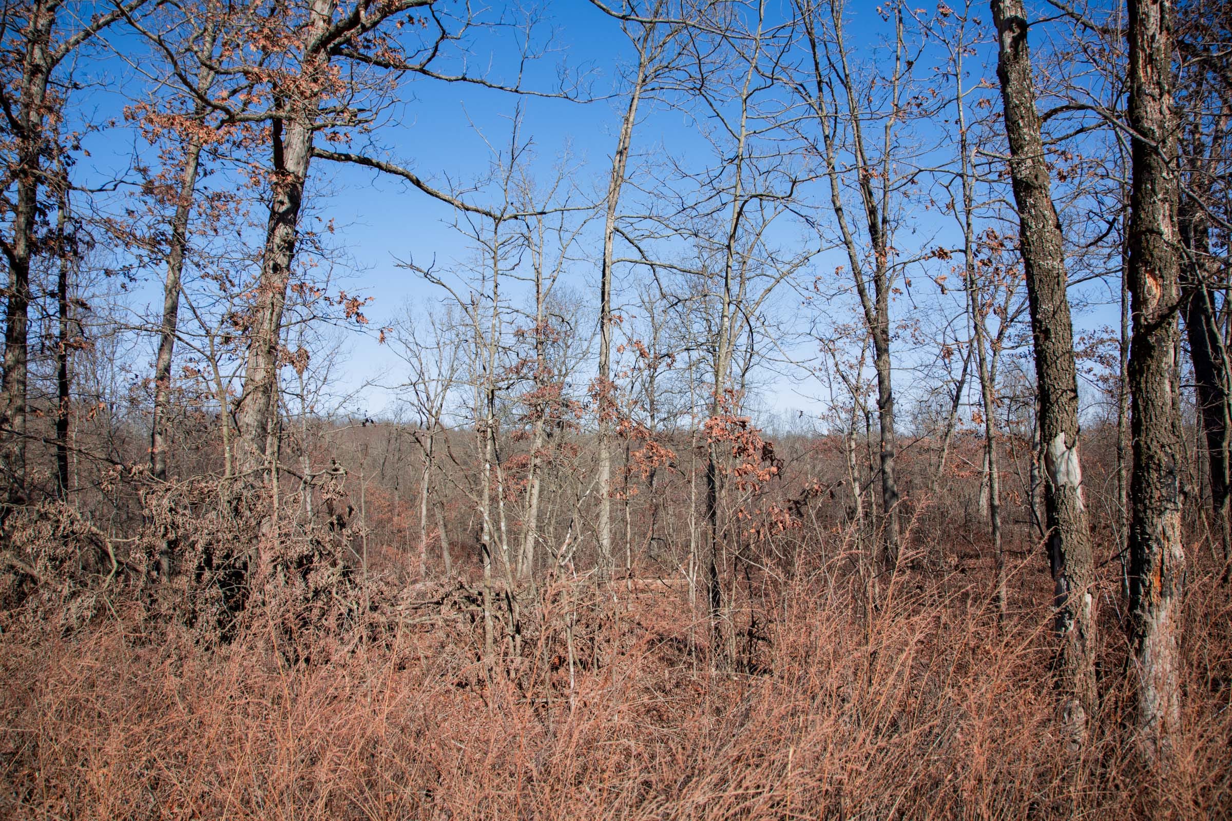 Buffalo Hills Tract 21 photo 3