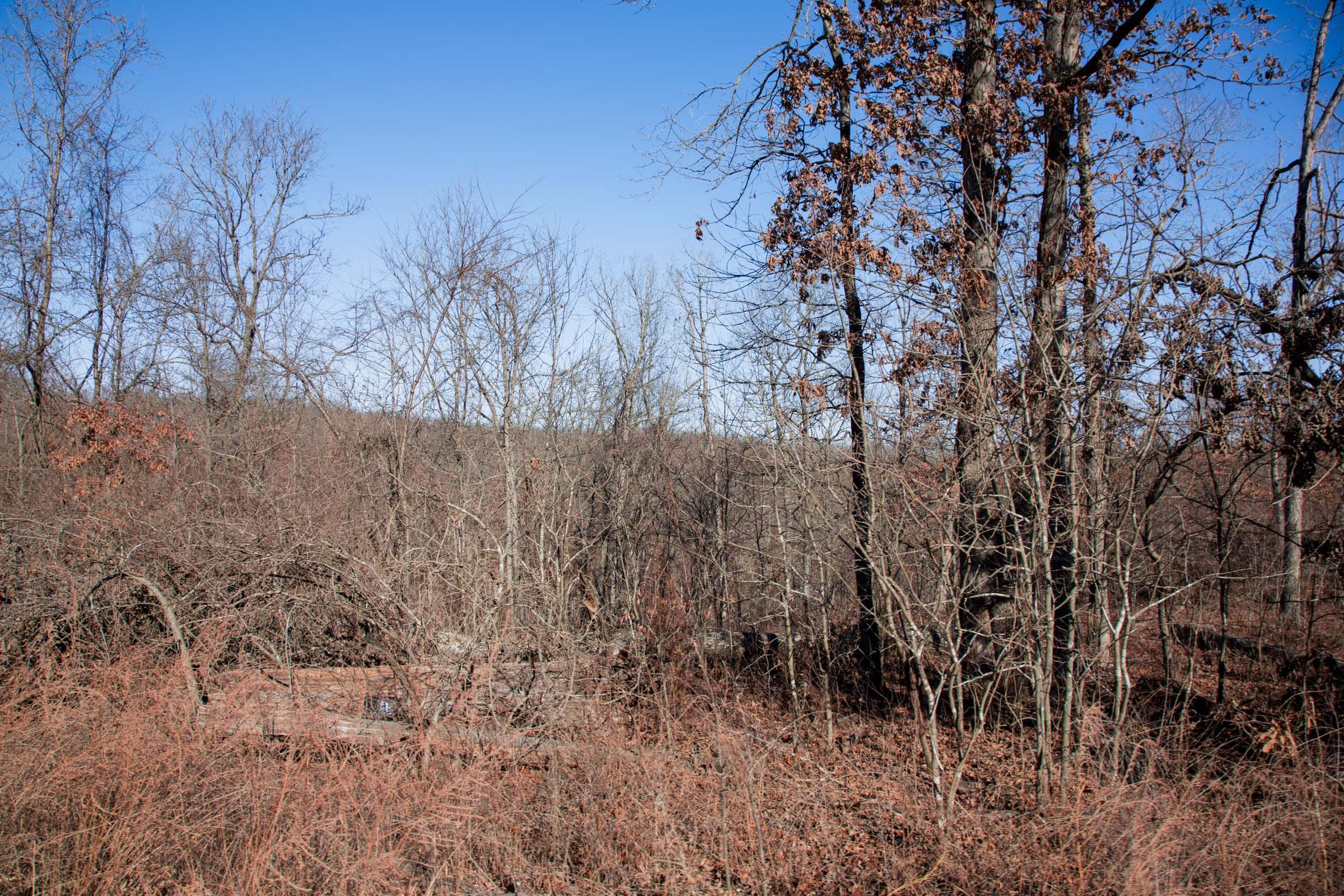 Buffalo Hills Tract 21 photo 4
