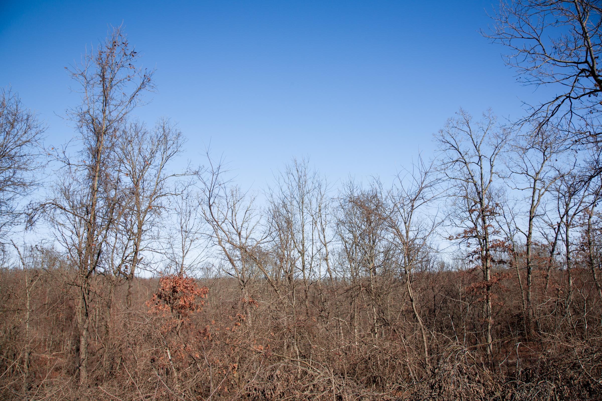 Buffalo Hills Tract 21 photo 5