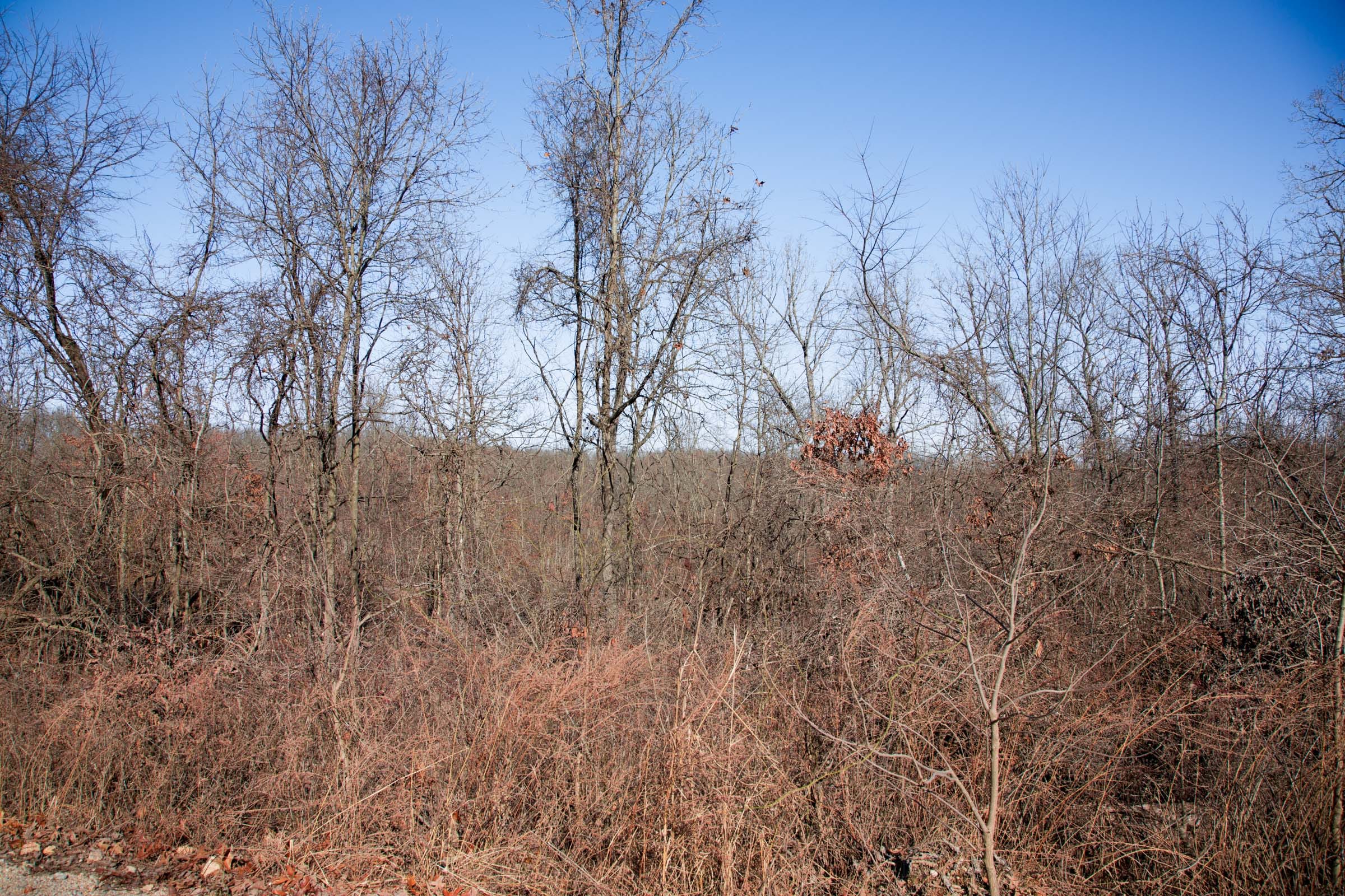 Buffalo Hills Tract 21 photo 6