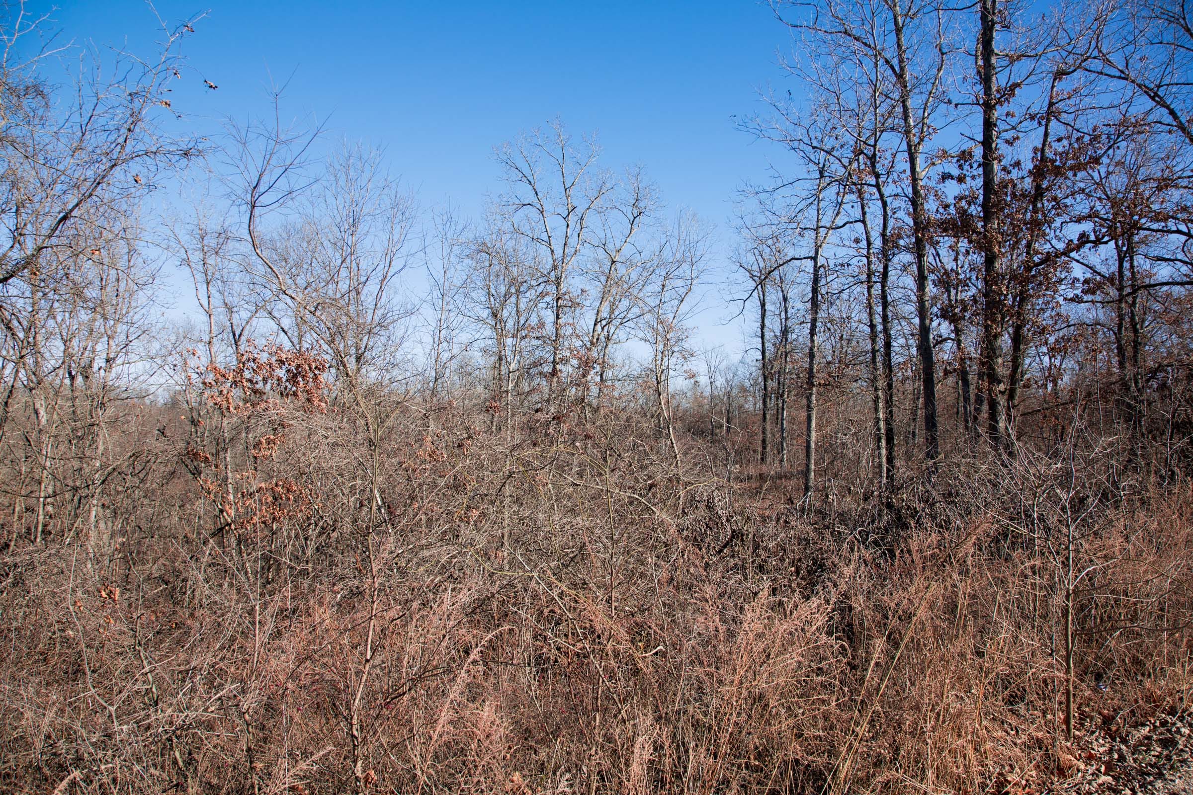 Buffalo Hills Tract 21 photo 7
