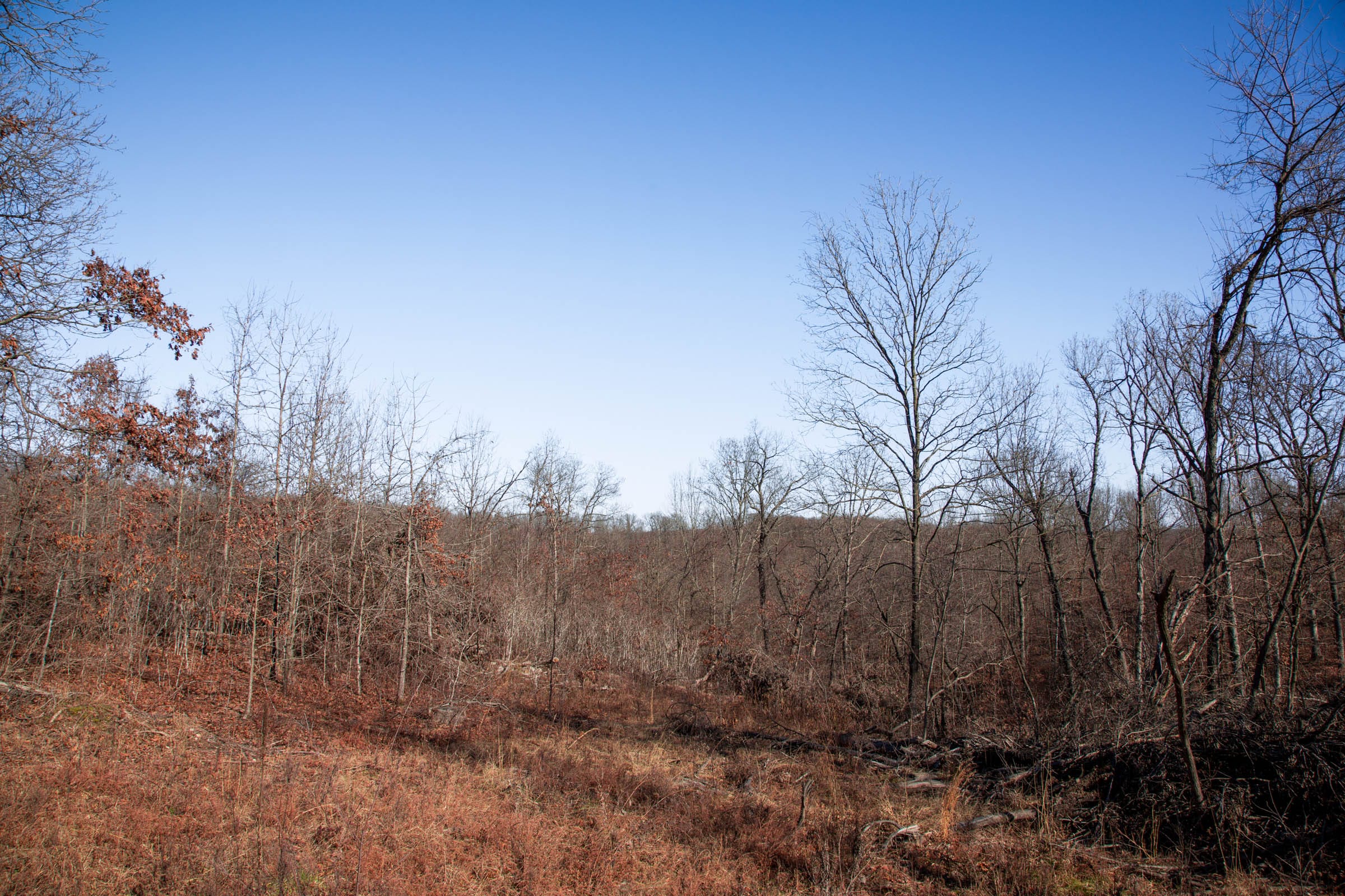 Buffalo Hills Tract 21 photo 8