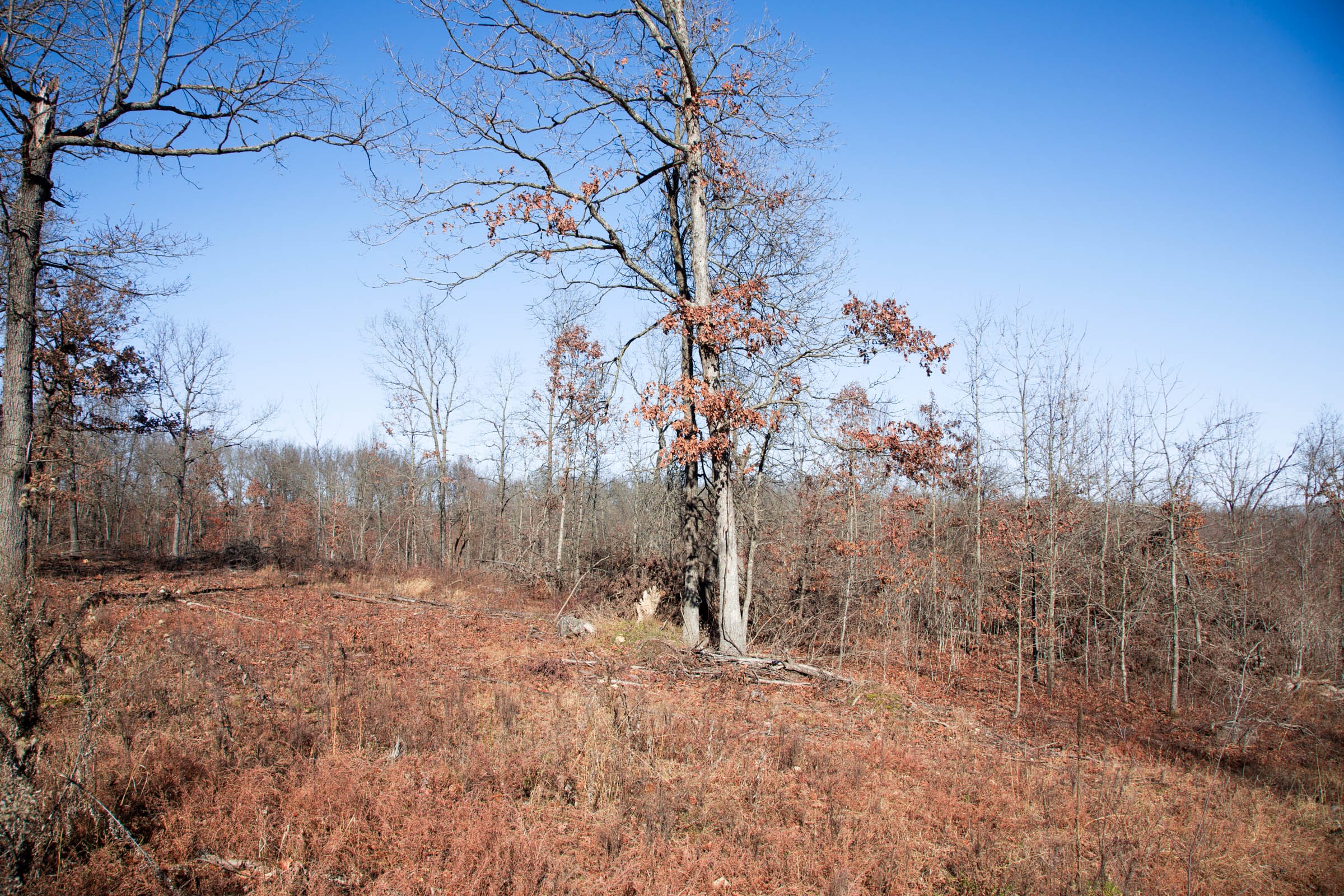 Buffalo Hills Tract 21 photo 9