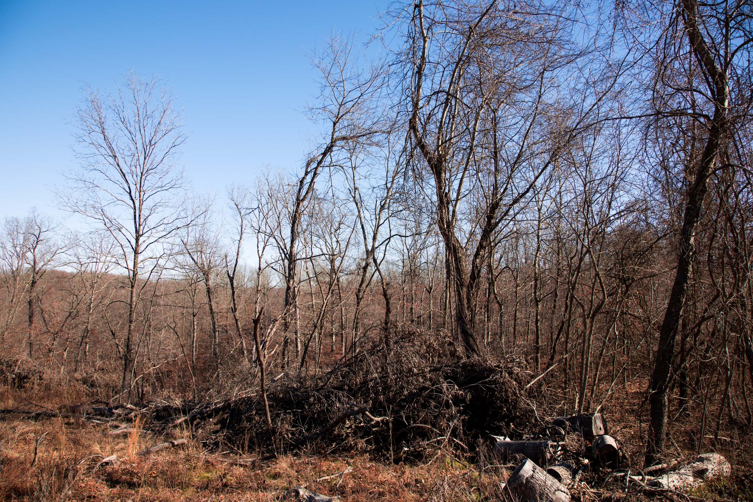 Buffalo Hills Tract 21 photo 10
