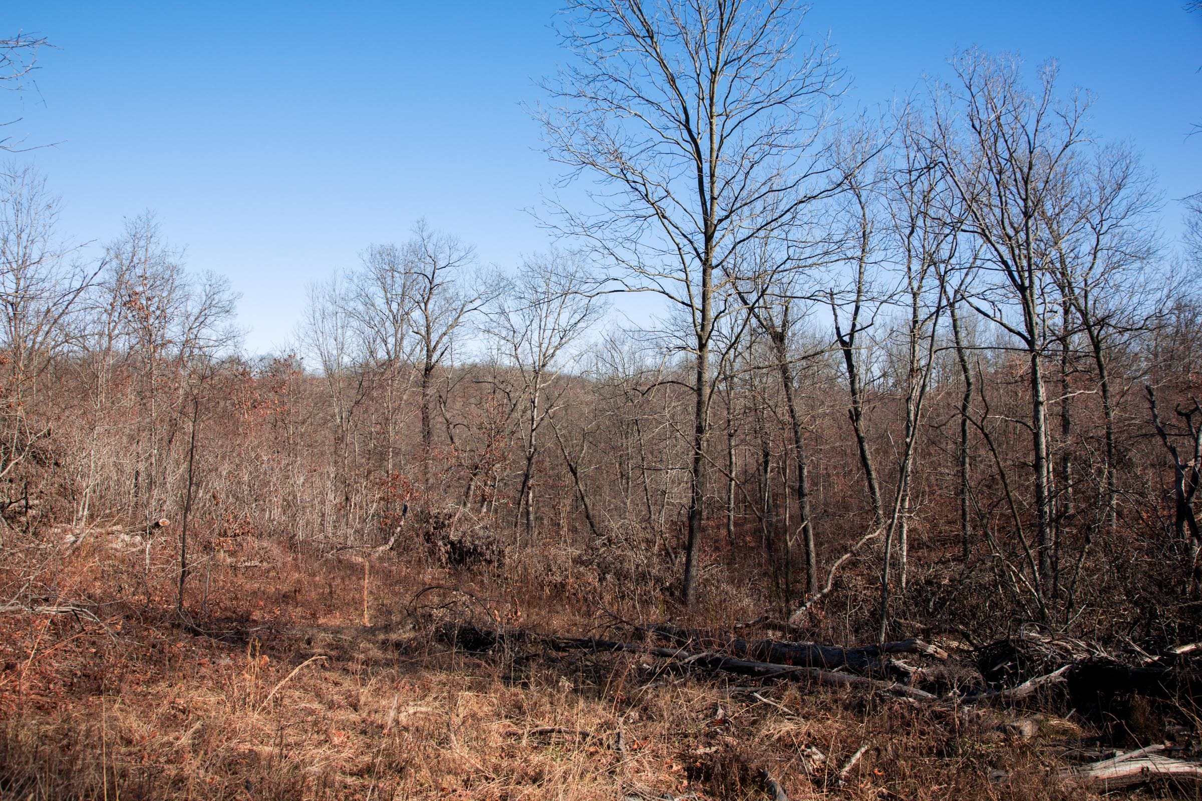 Buffalo Hills Tract 21 photo 11