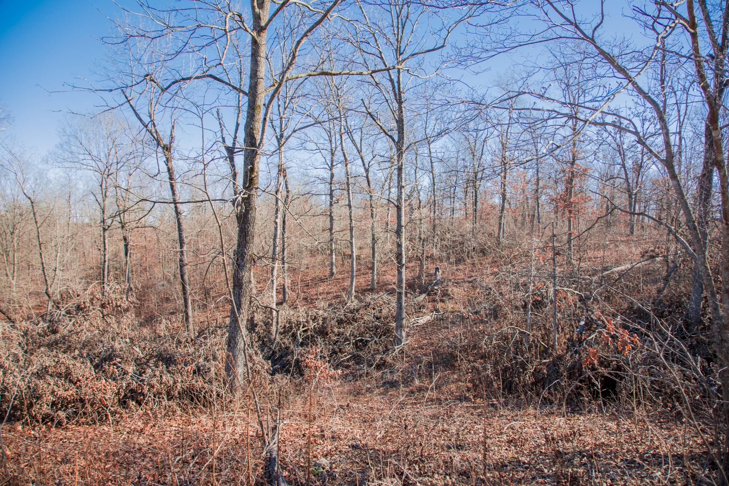Buffalo Hills Tract 21 photo 12