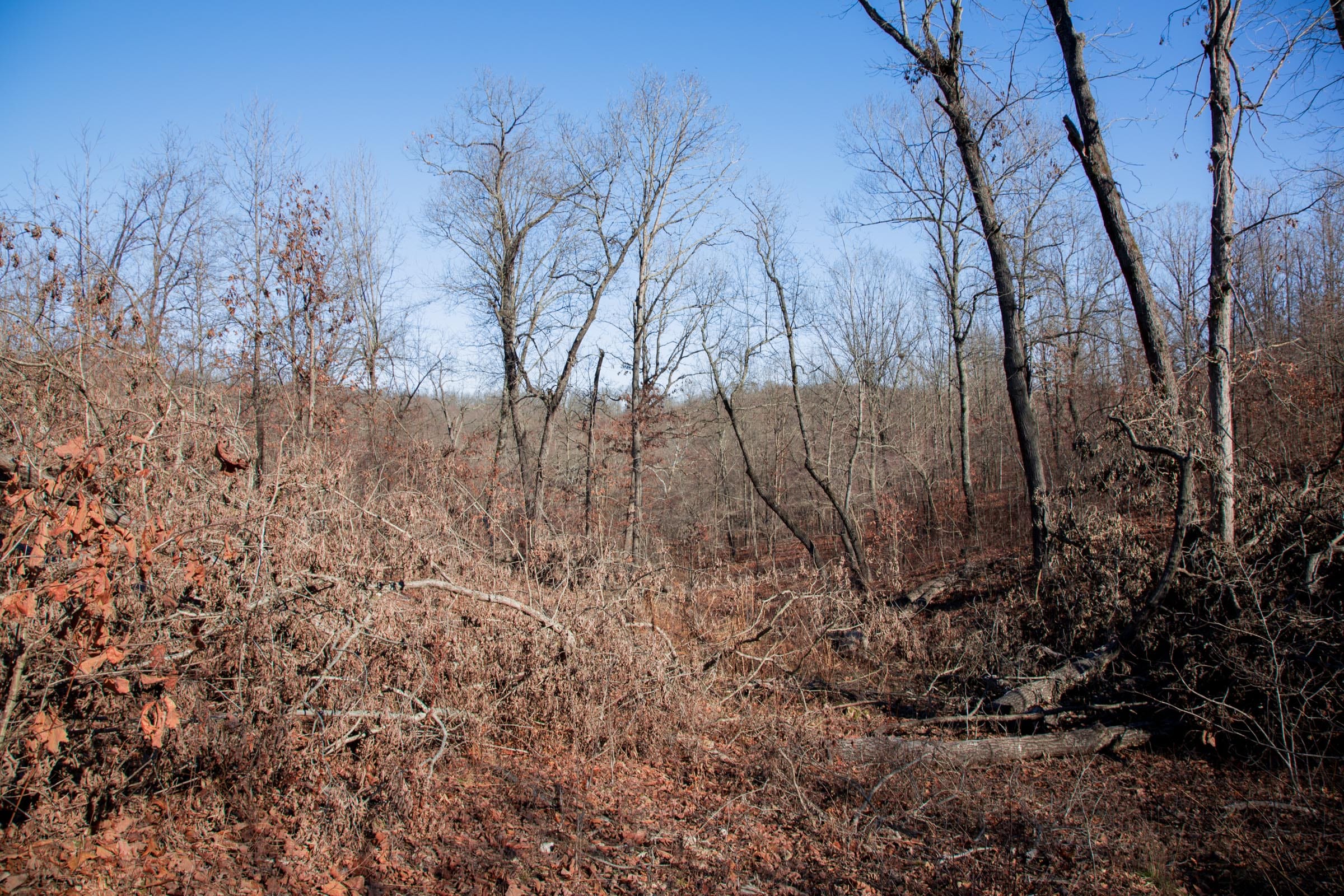 Buffalo Hills Tract 21 photo 13