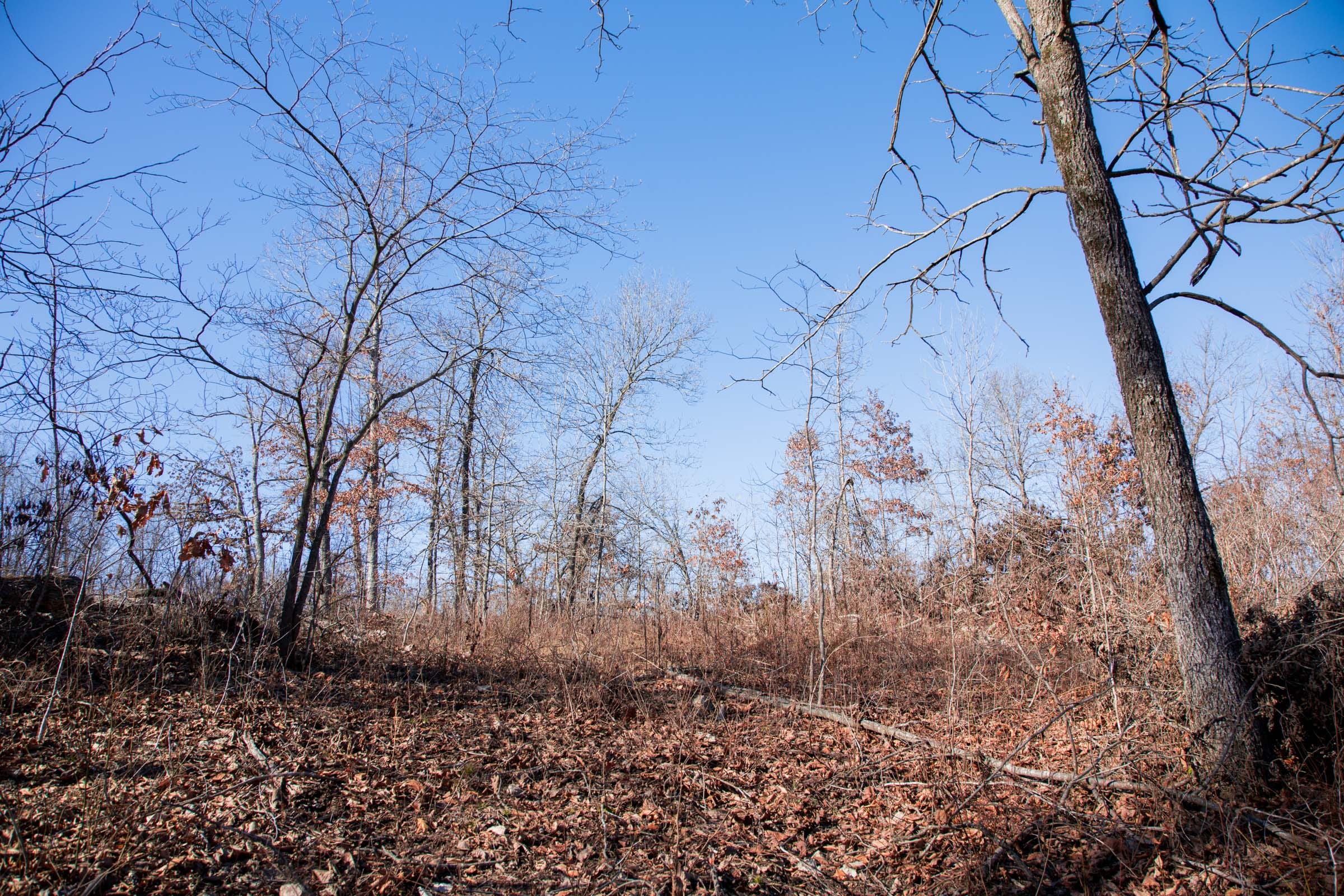 Buffalo Hills Tract 21 photo 14