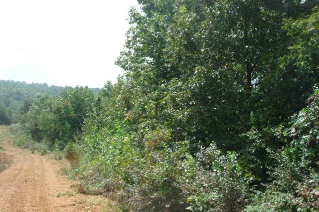 Sugartree Falls Tract 20 photo 1