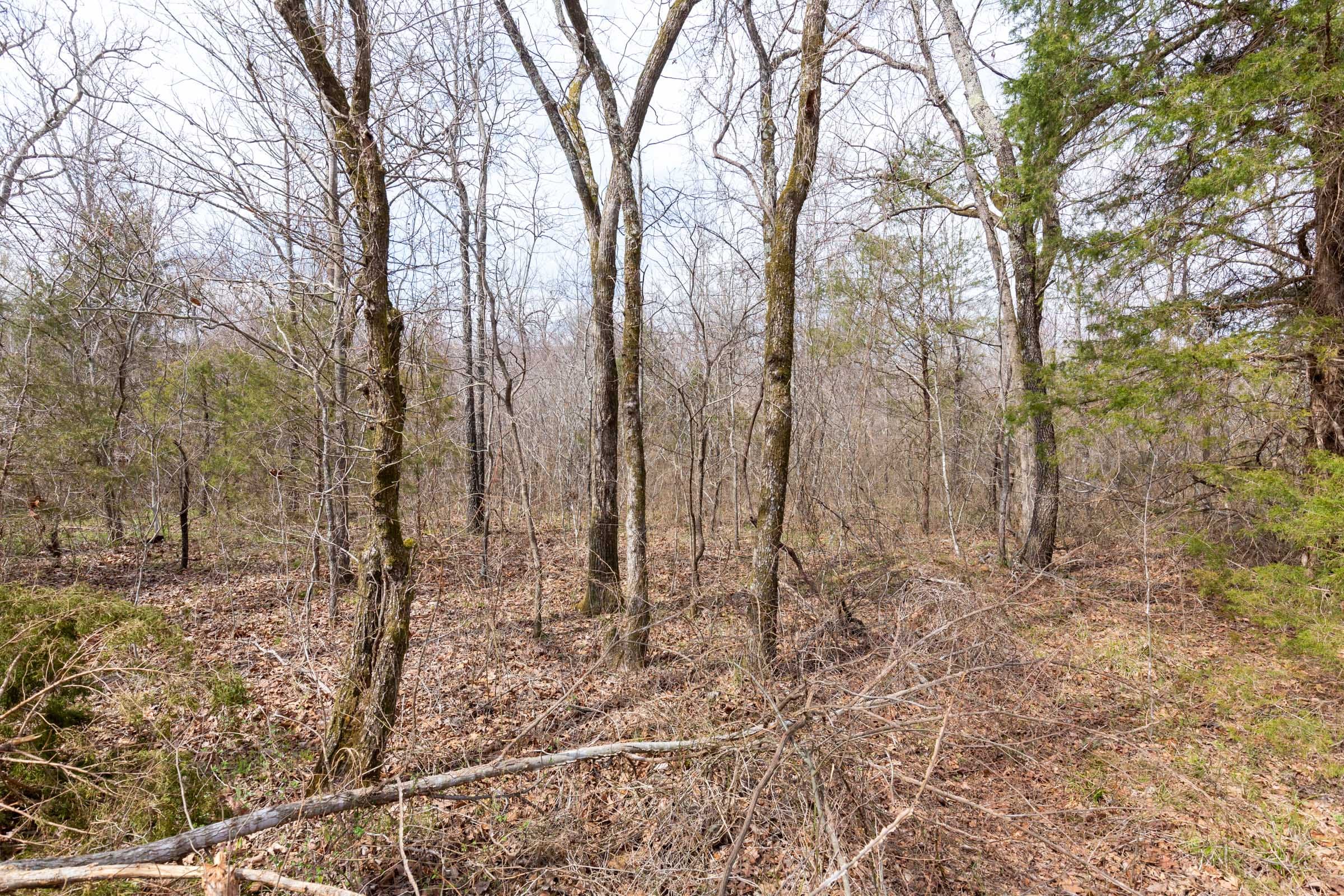 Stone Bridge Phase III Tract 158 photo 6