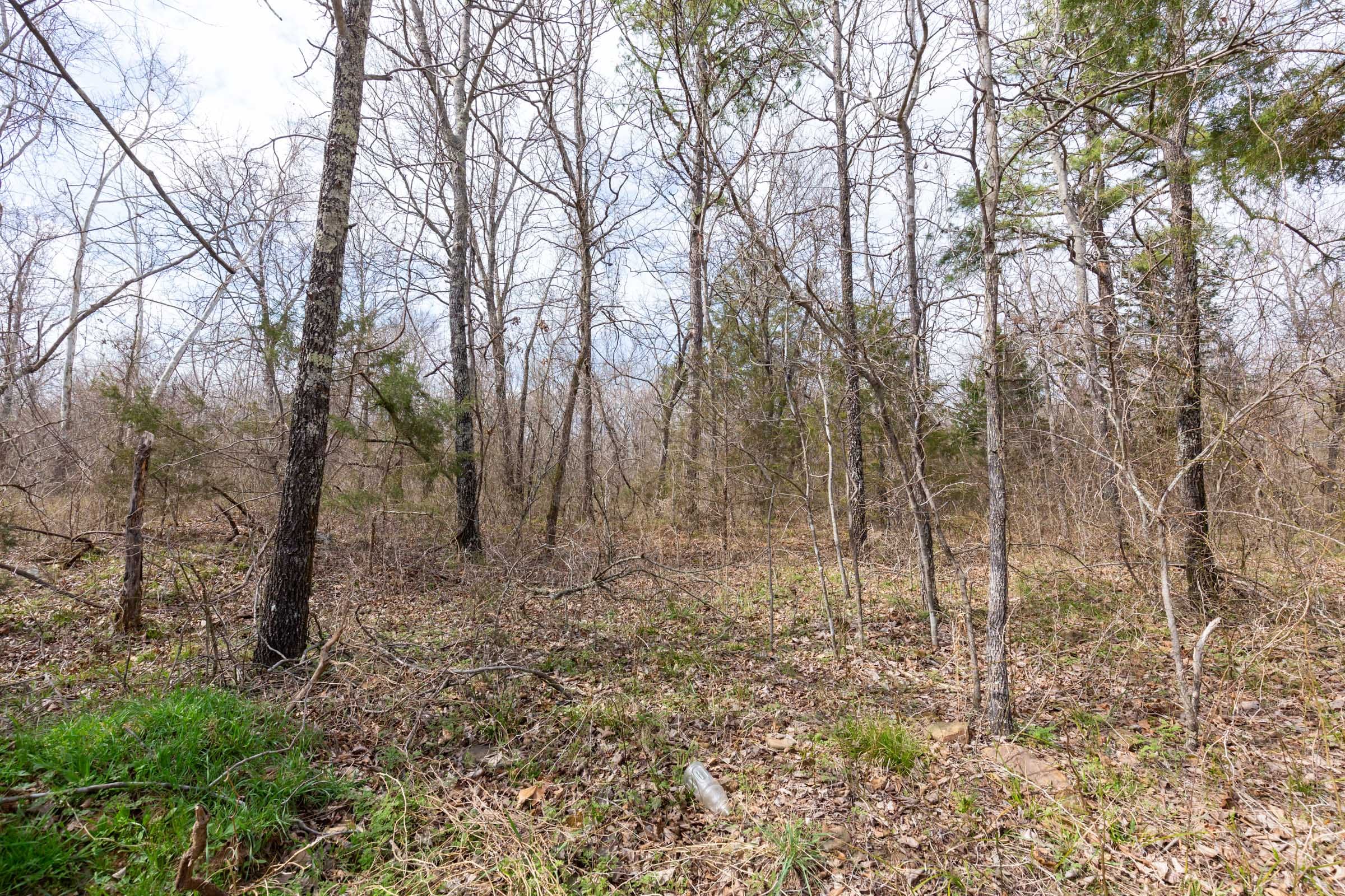 Stone Bridge Phase III Tract 158 photo 10