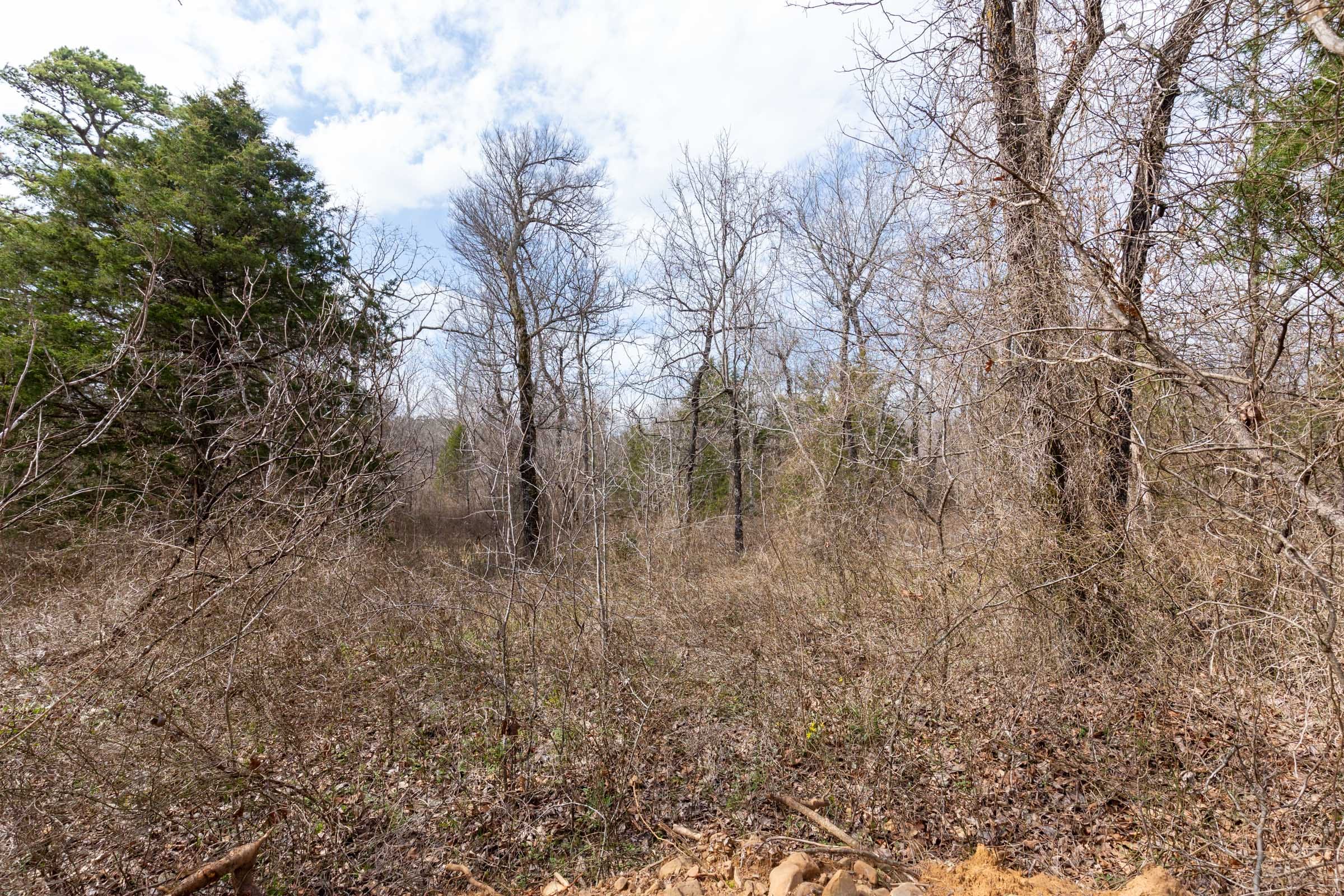 Stone Bridge Phase III Tract 158 photo 11