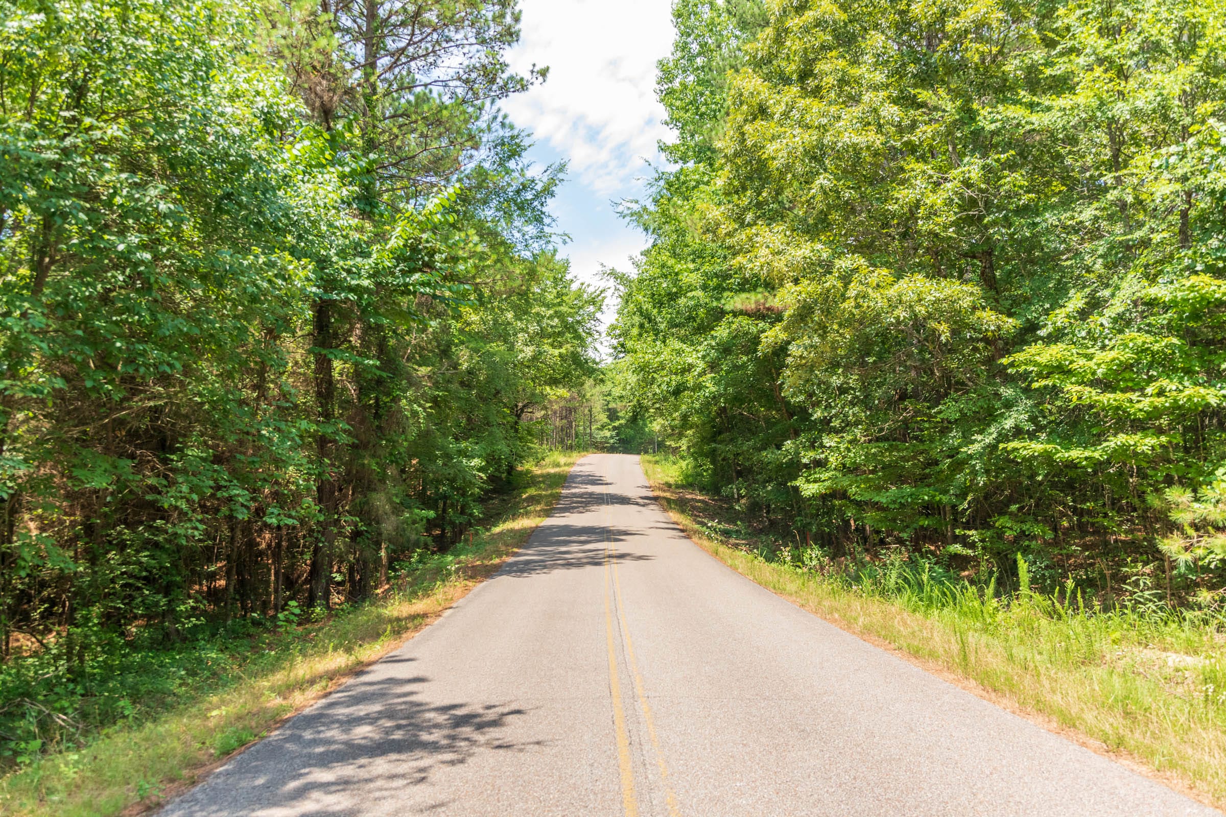 Whiskey Ridge Tract 49 photo 6