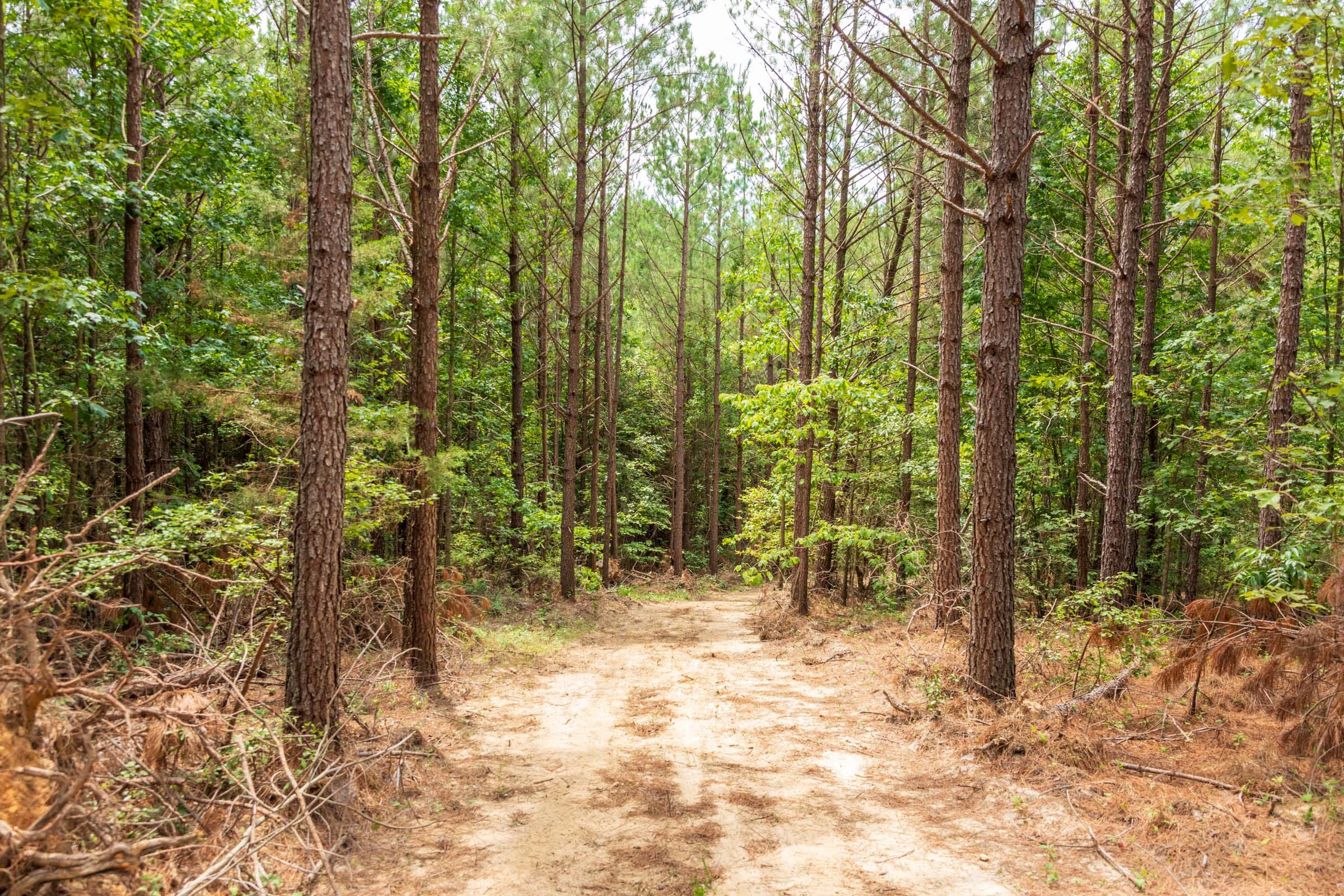 Whiskey Ridge Tract 49 photo 16