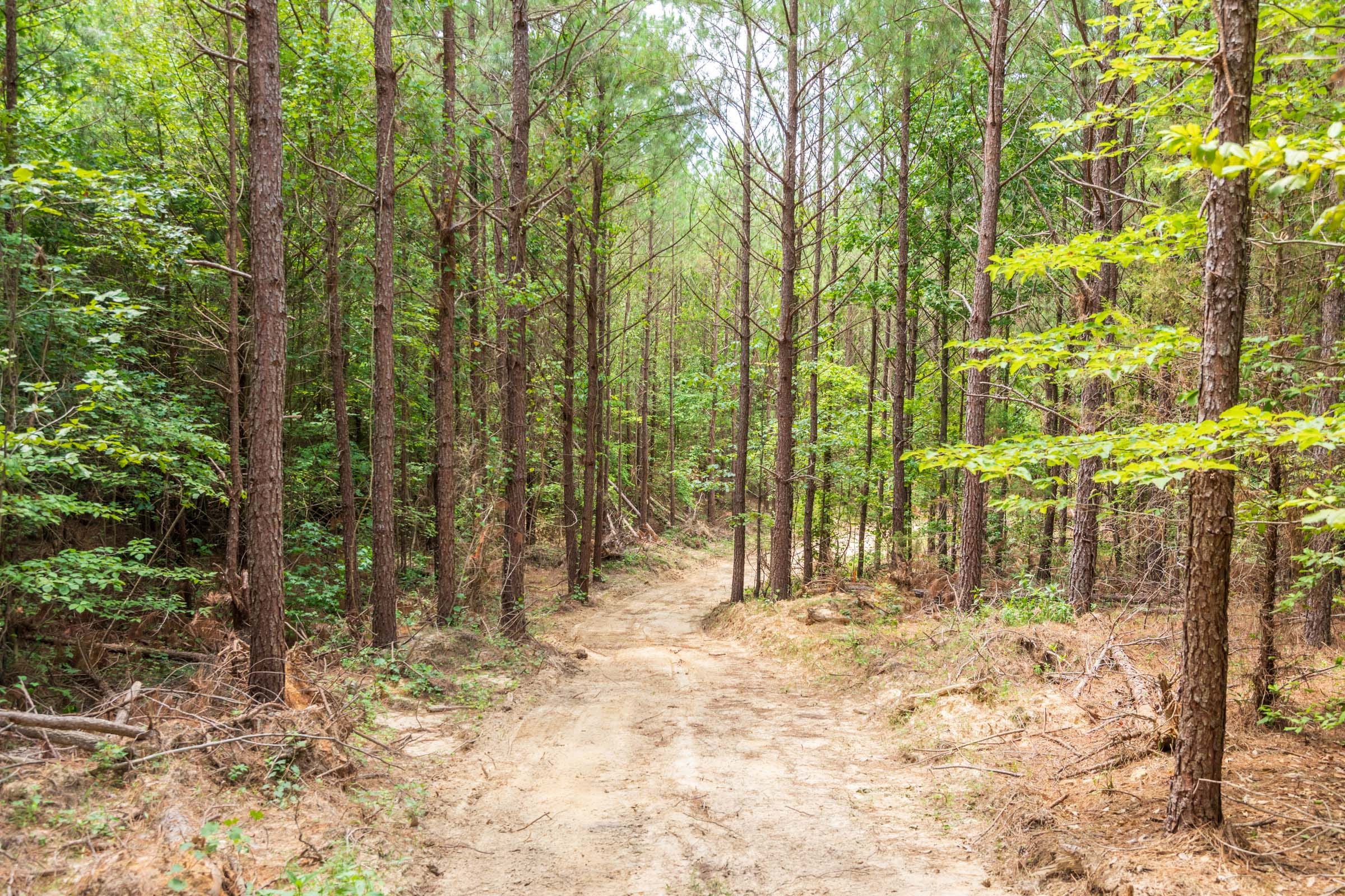 Whiskey Ridge Tract 49 photo 17