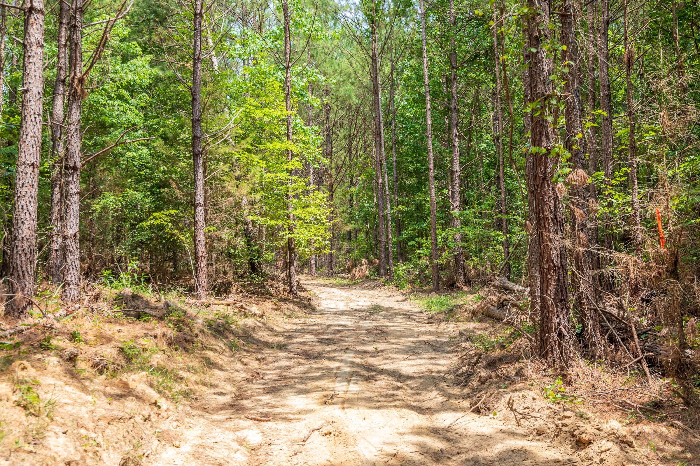 Whiskey Ridge Tract 49 photo 19