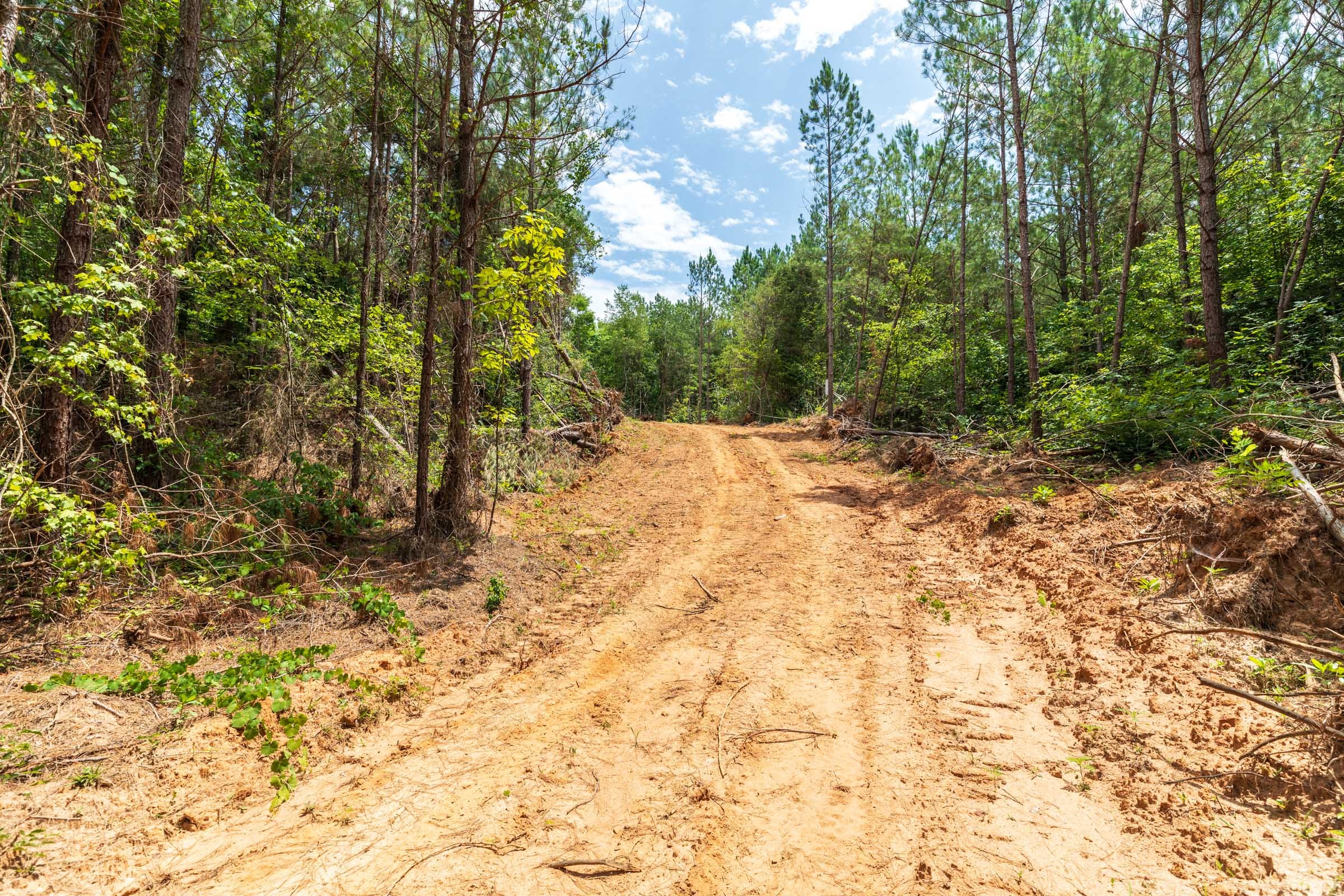 Whiskey Ridge Tract 8 photo 1