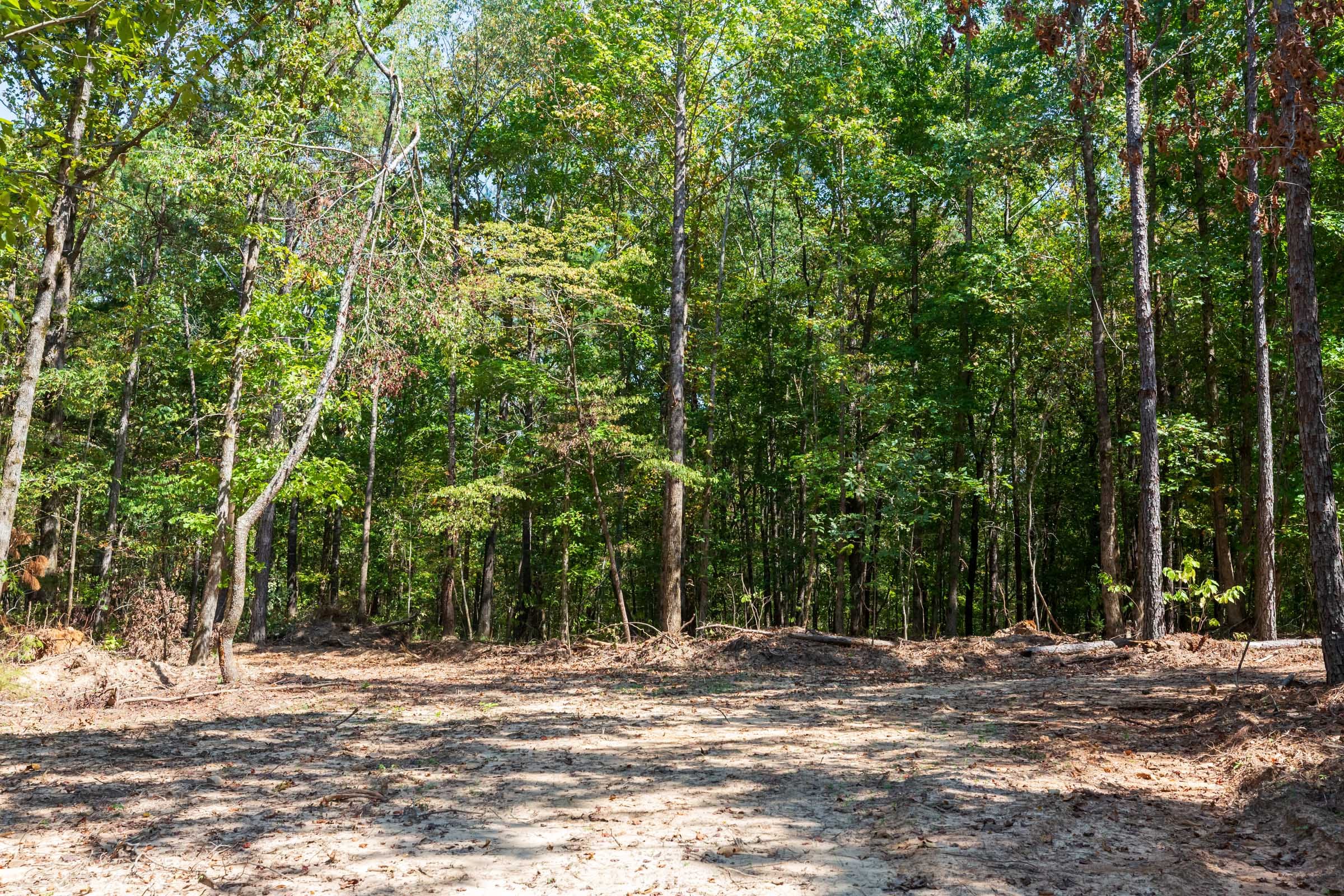 Willow Grove Tract 8 photo 16
