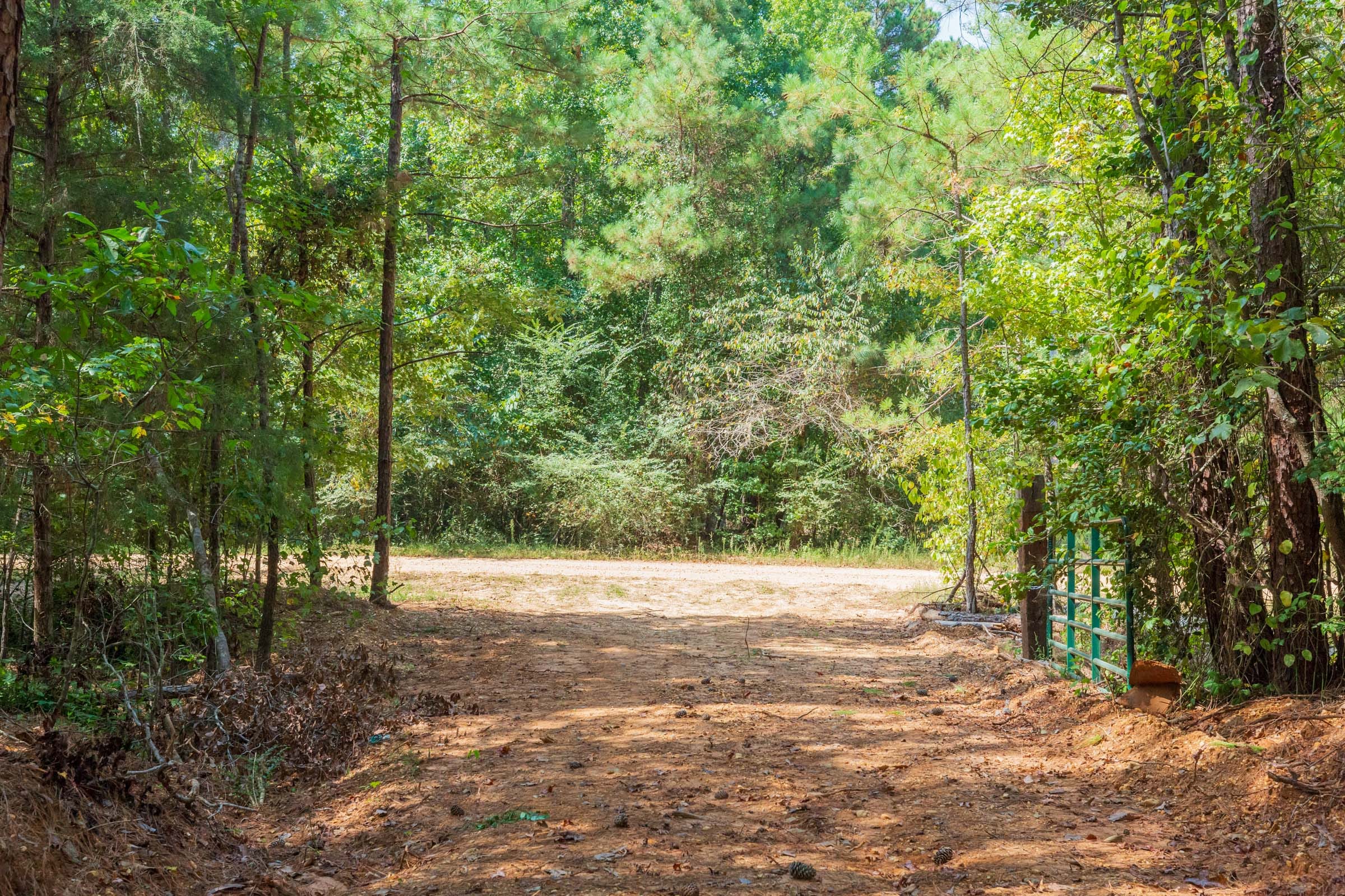Willow Grove Tract 8 photo 8