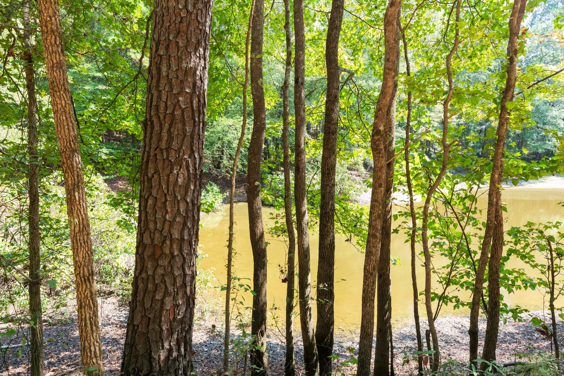 Willow Grove Tract 8 photo 15