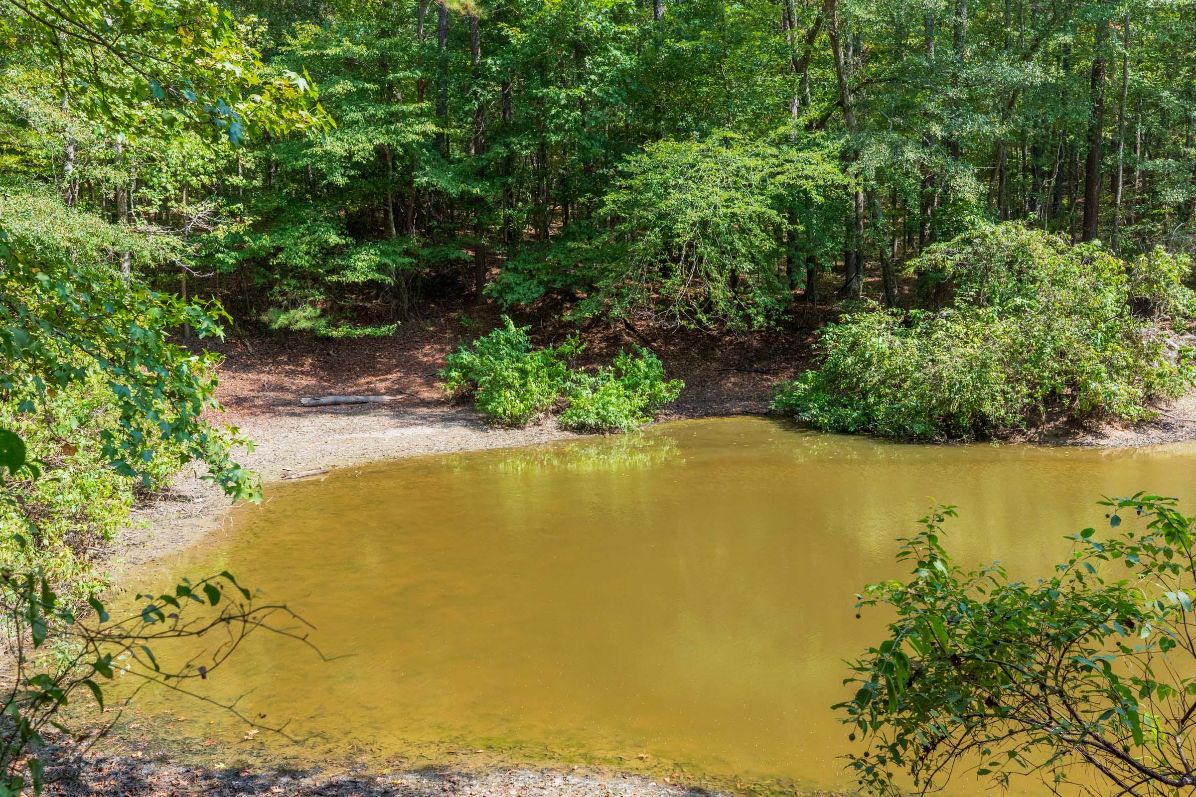 Willow Grove Tract 8 photo 3