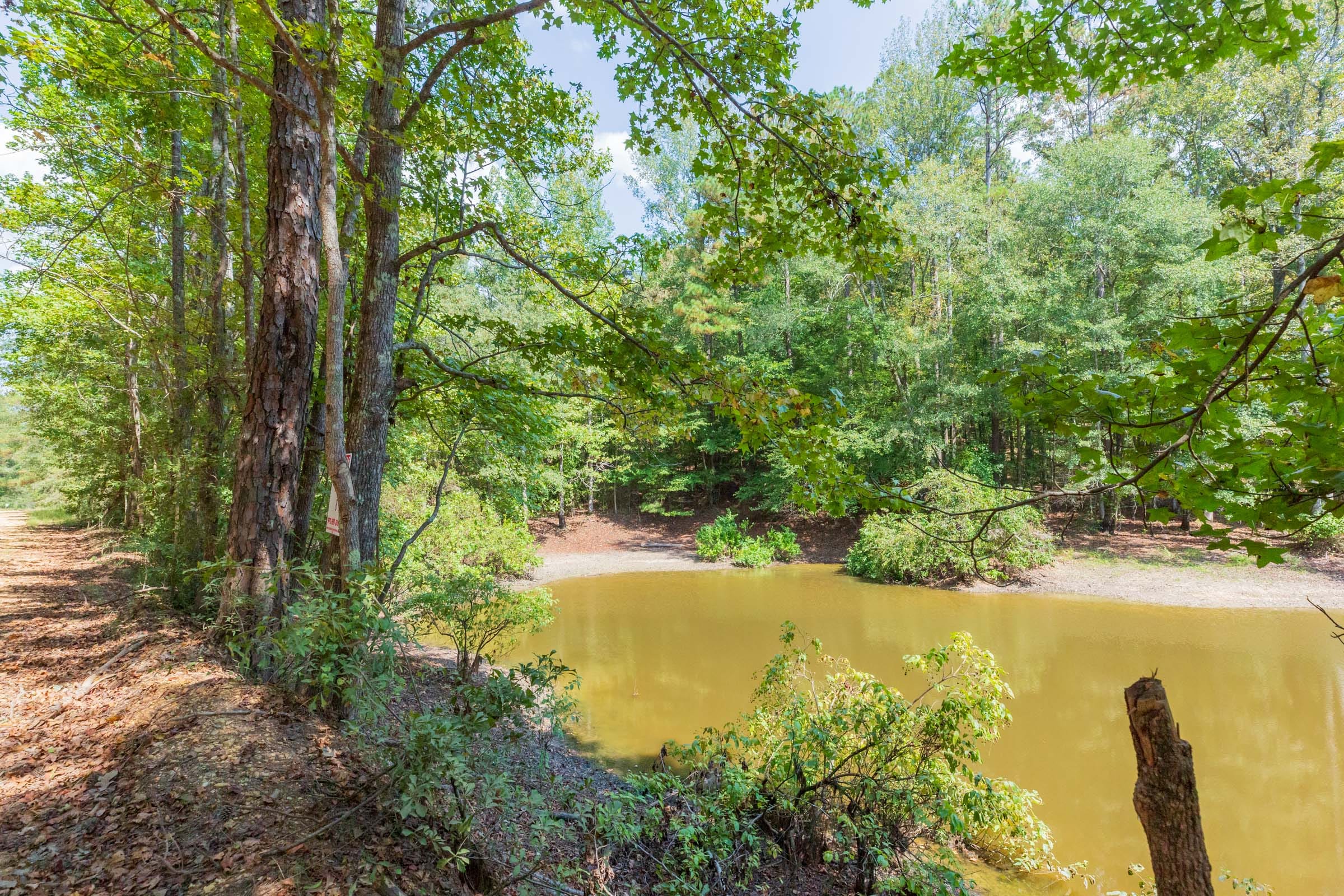 Willow Grove Tract 8 photo 7