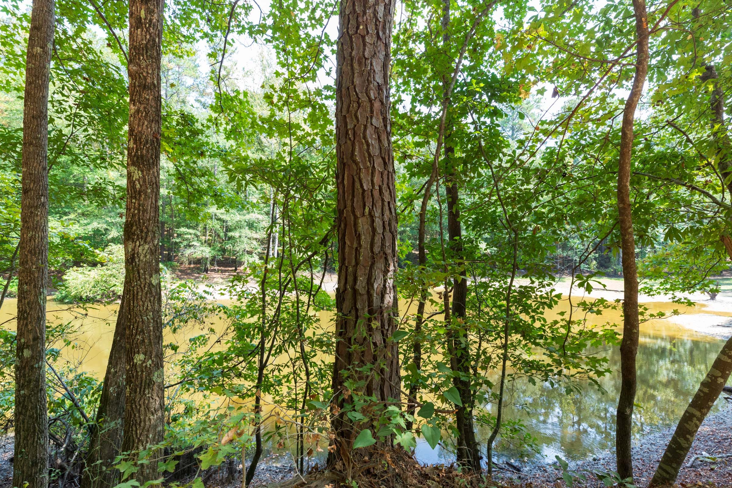 Willow Grove Tract 8 photo 18