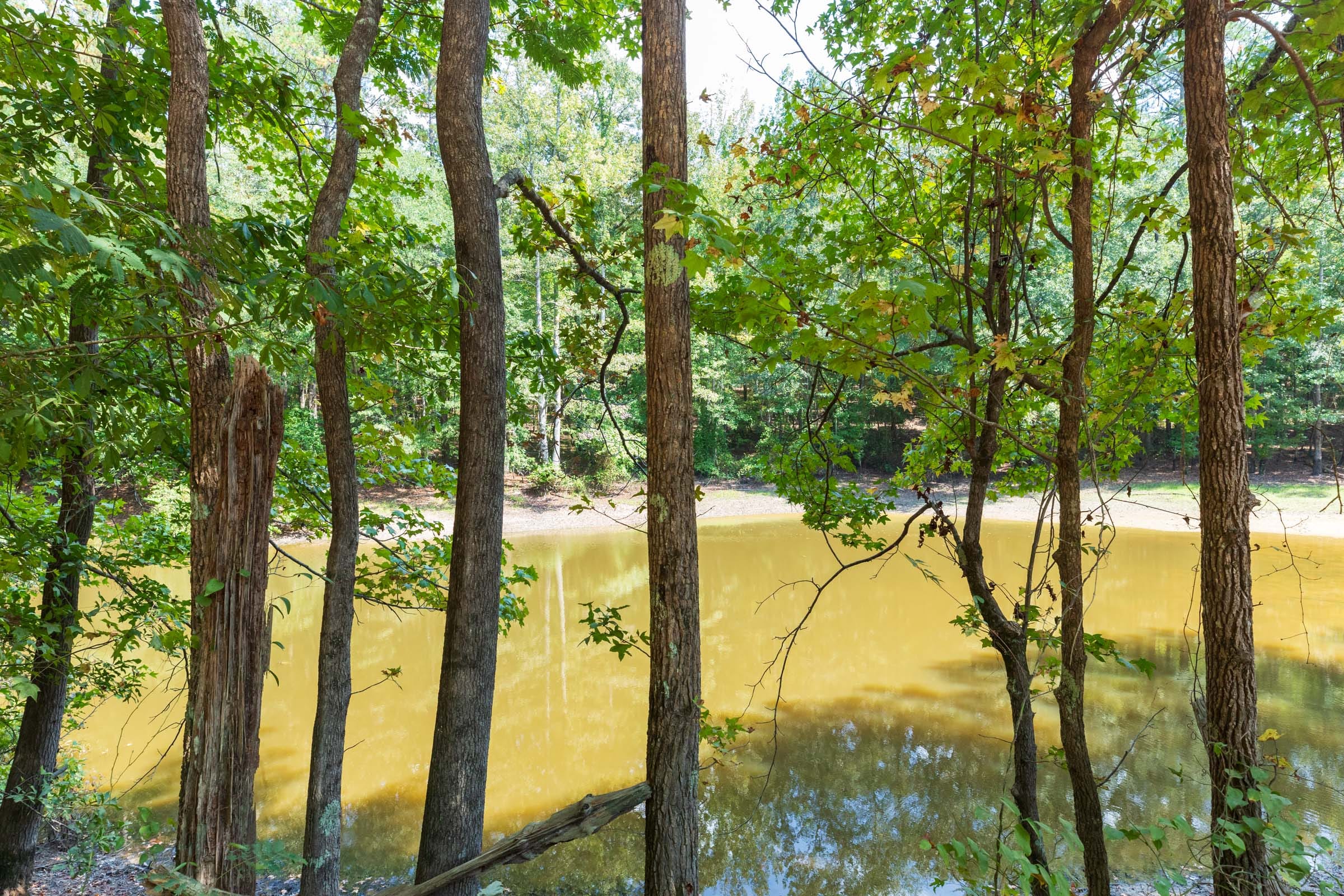 Willow Grove Tract 8 photo 11