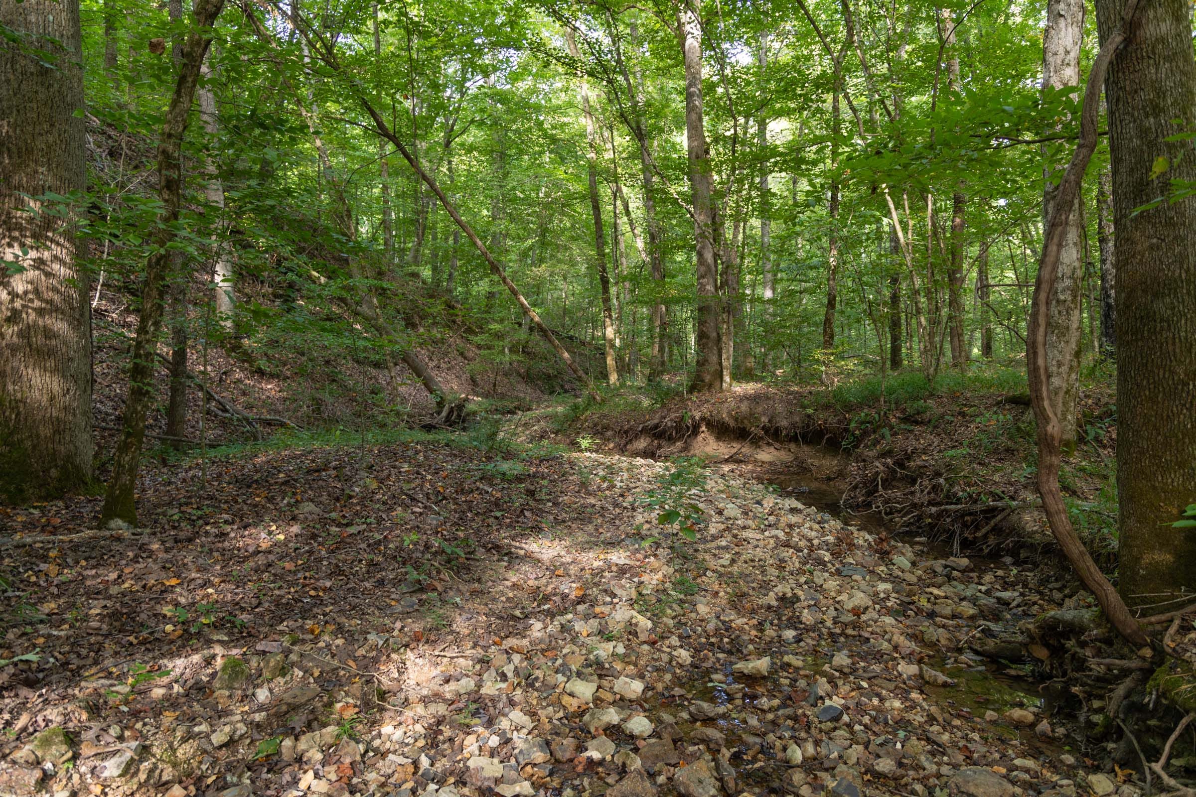 Big White Oak Tract 25 photo 2