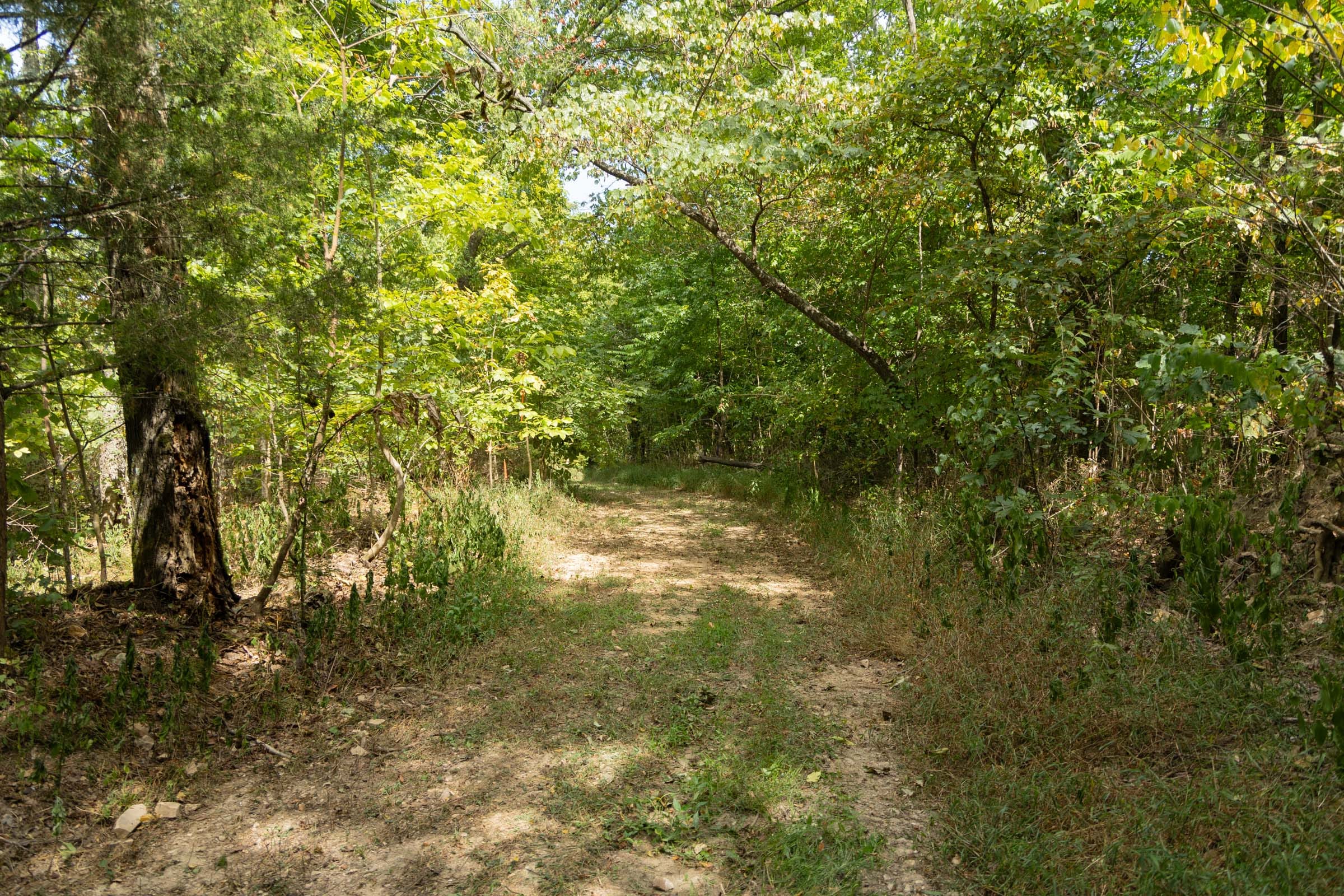 Big White Oak Tract 119 photo 10