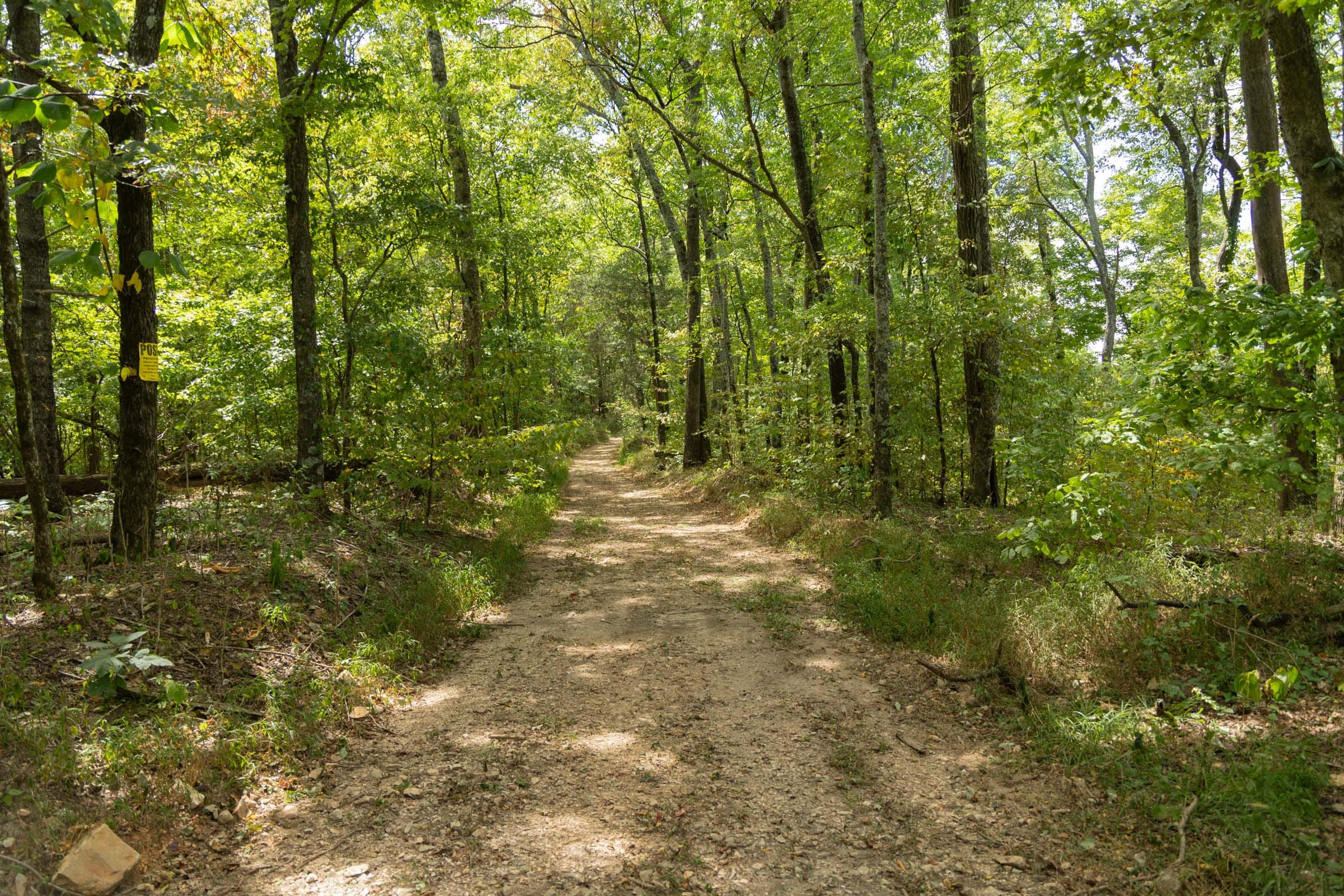Big White Oak Tract 119 photo 1